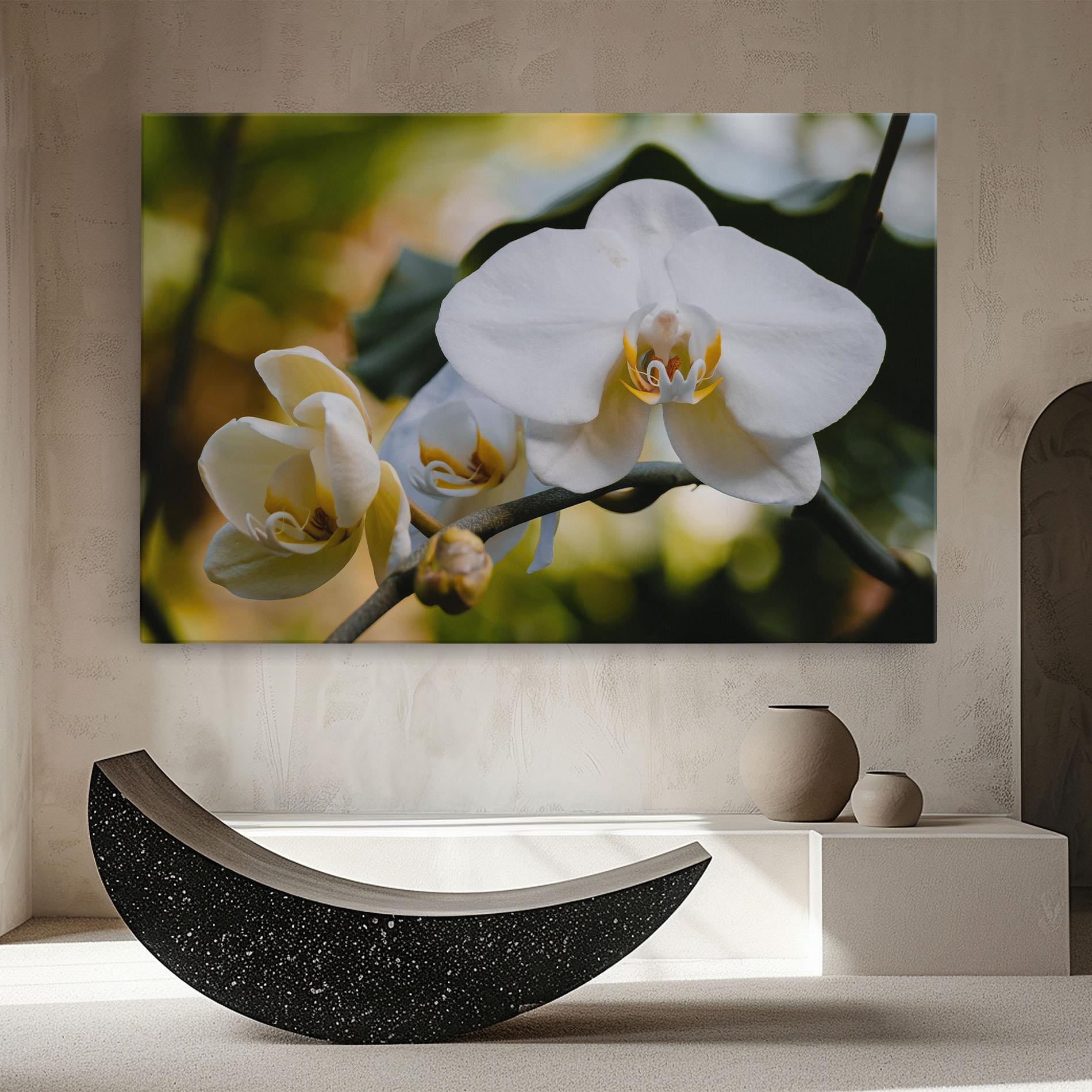 Leinwandbild Cream Orchid In Nature mockup 8