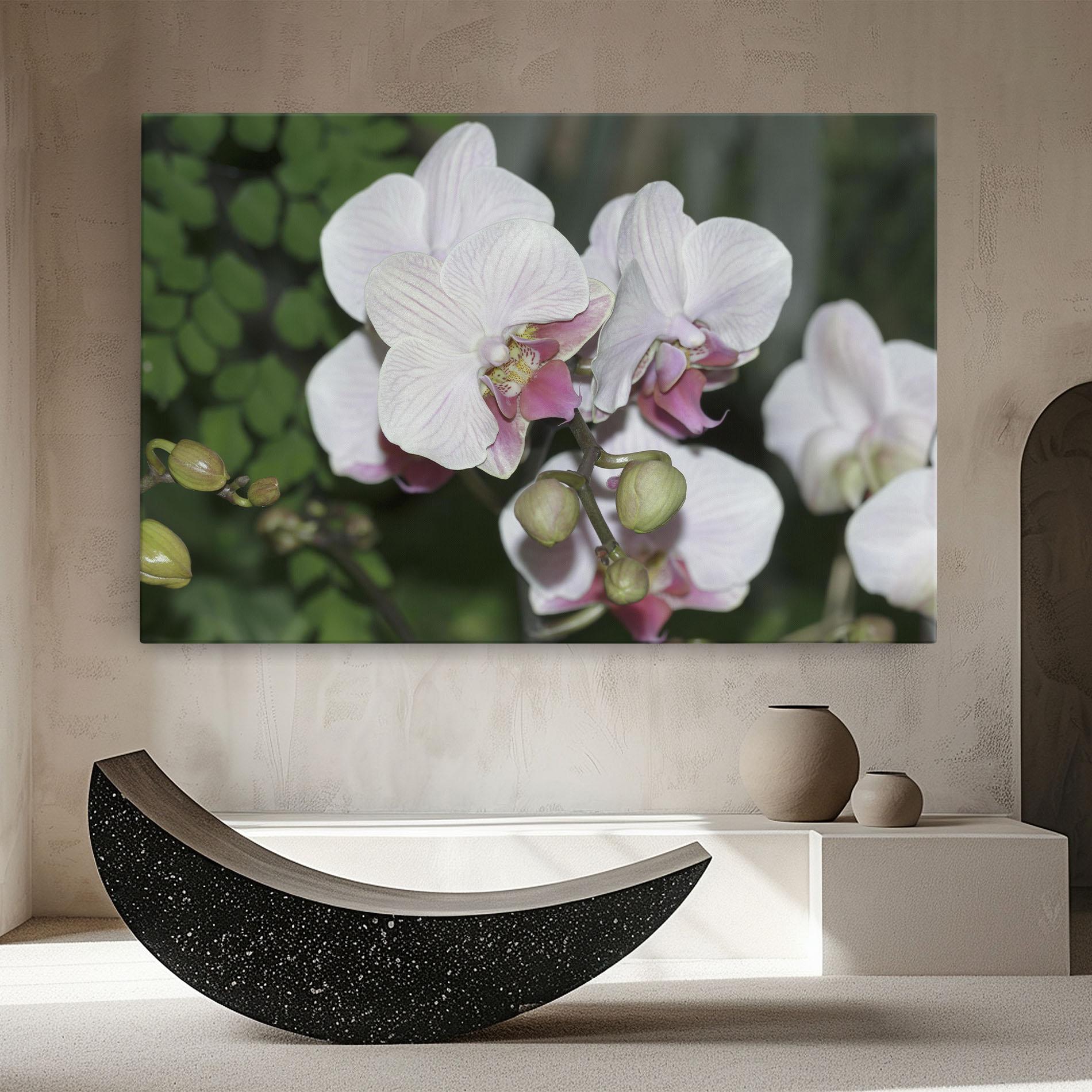 Leinwandbild Orchid Botanical Garden mockup 8