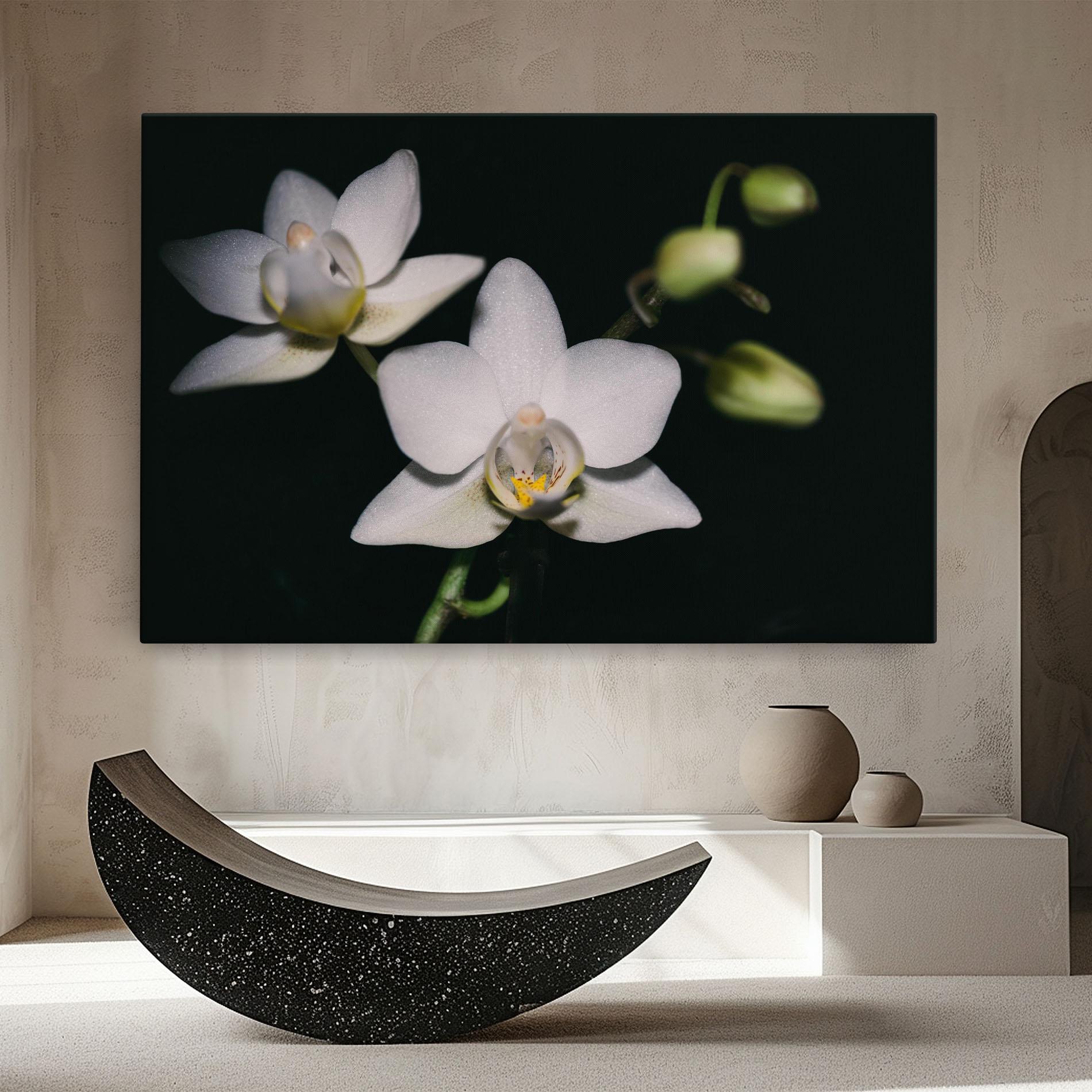 Leinwandbild Orchids On Black mockup 8