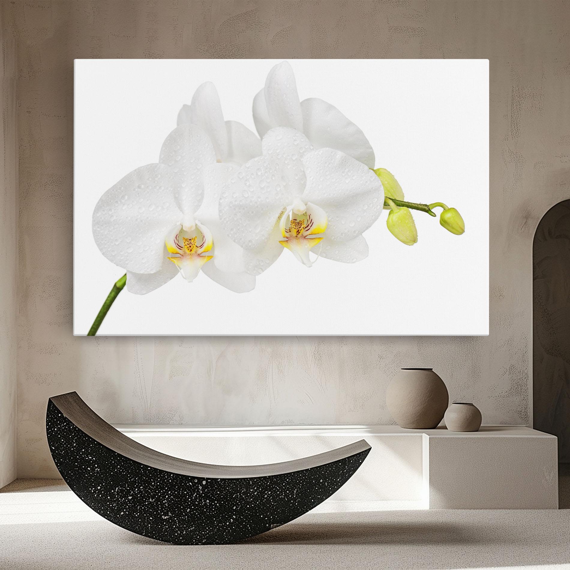 Leinwandbild Orchids On White mockup 8