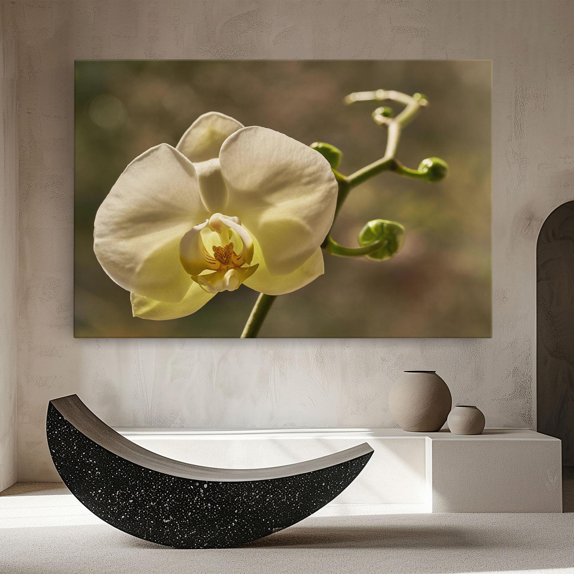 Leinwandbild Pastel Yellow Orchid In Garden mockup 8