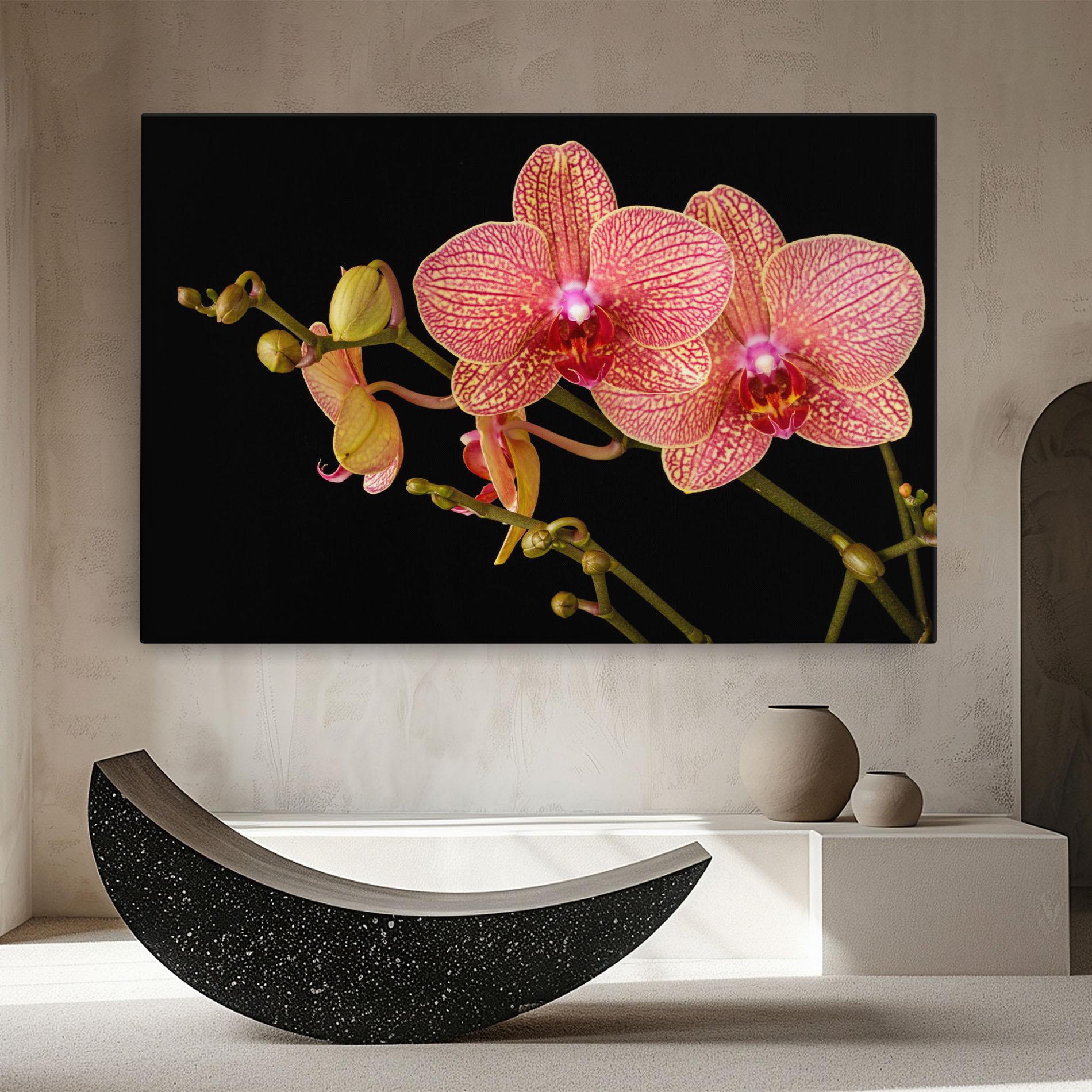 Leinwandbild Pink Orchids On Black mockup 8