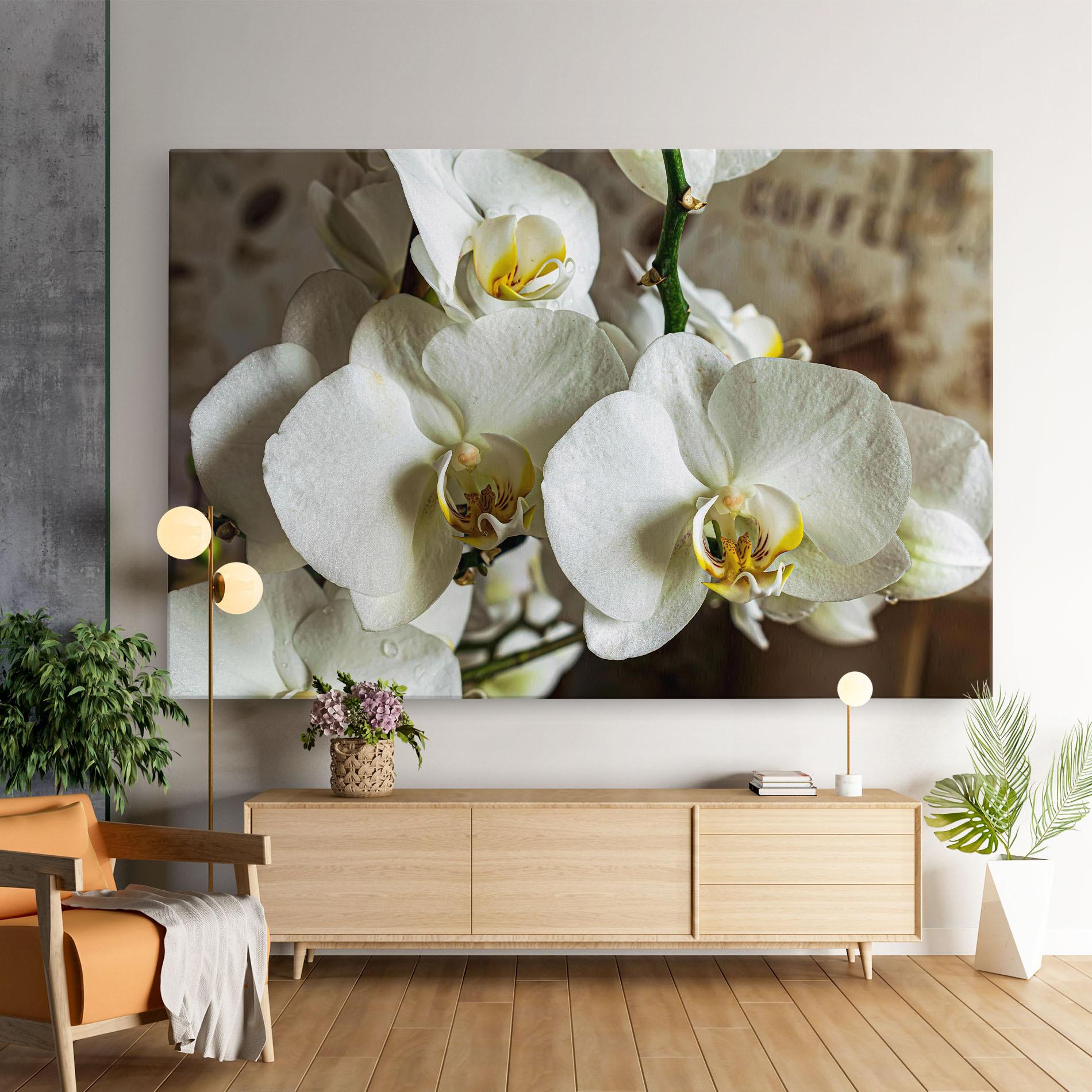 Leinwandbild Beautiful White Orchids mockup 9