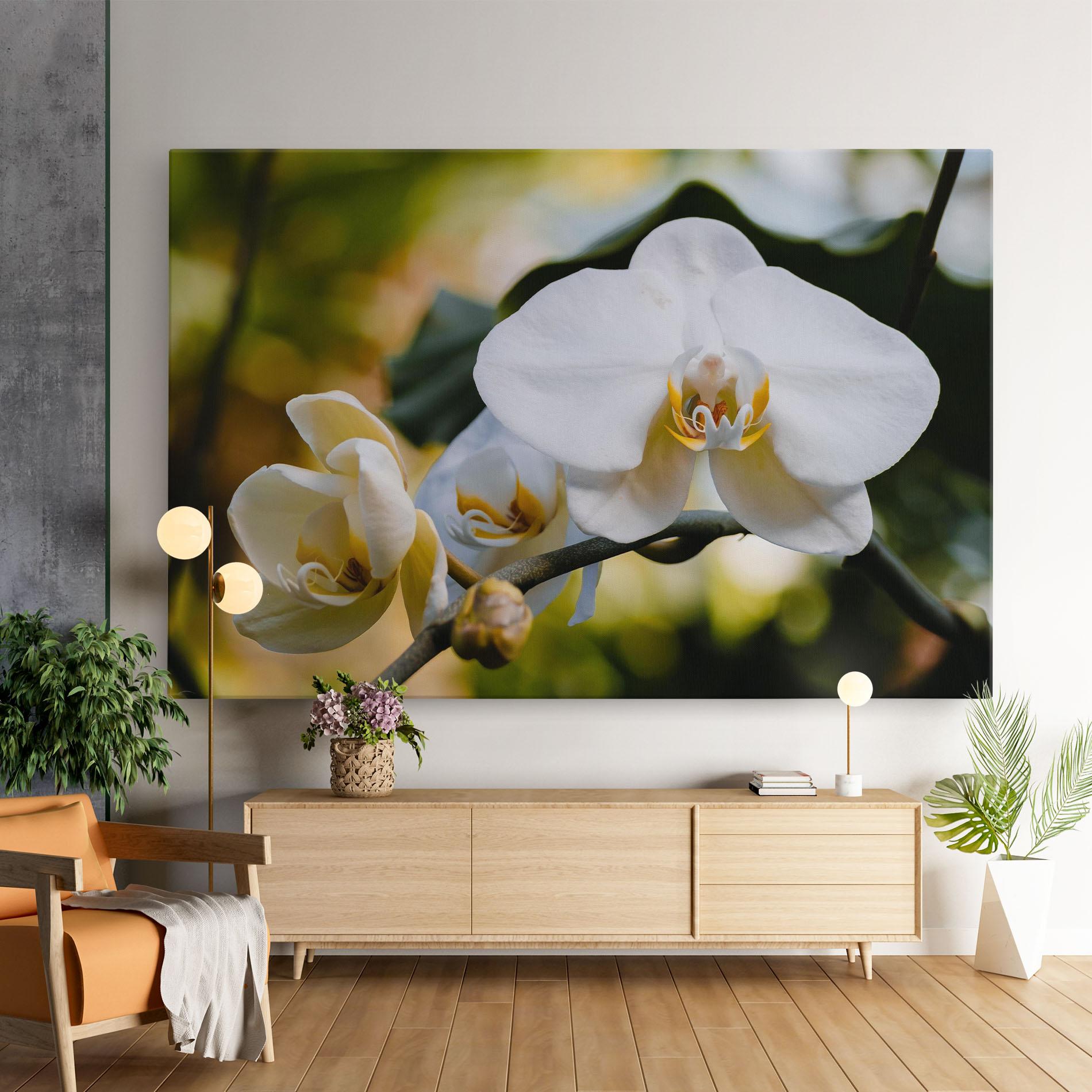 Leinwandbild Cream Orchid In Nature mockup 9