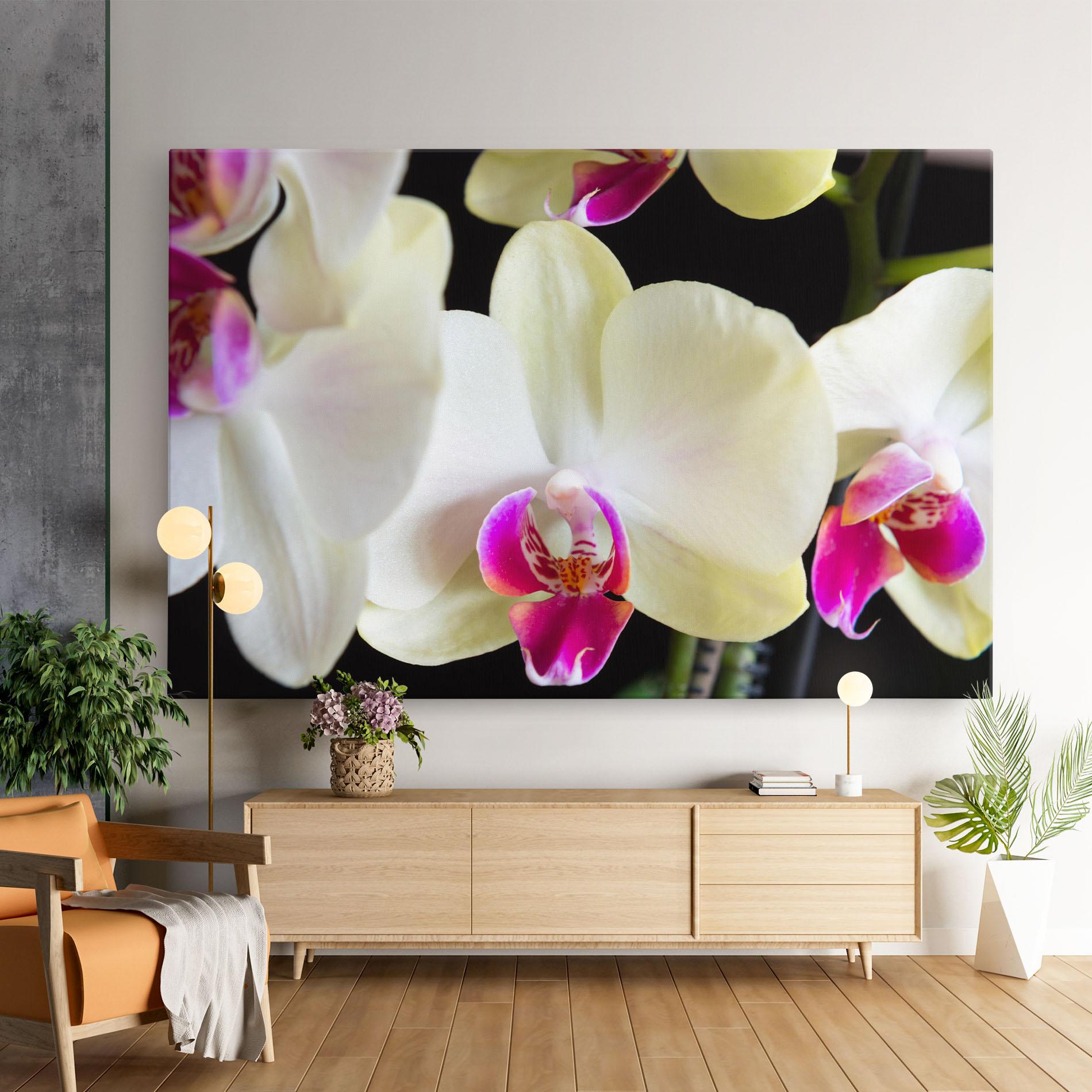 Leinwandbild Cream Purple Orchids mockup 9