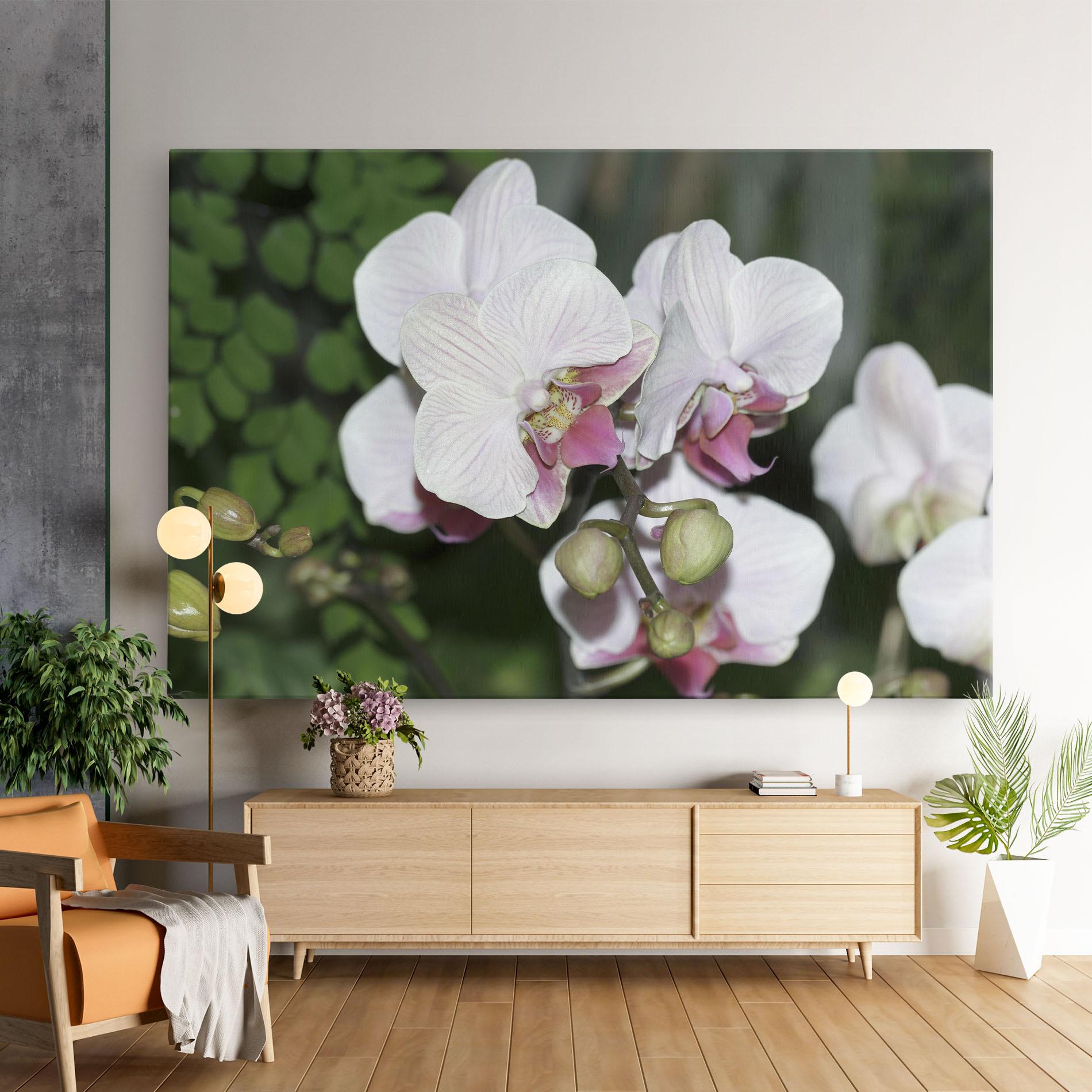 Leinwandbild Orchid Botanical Garden mockup 9