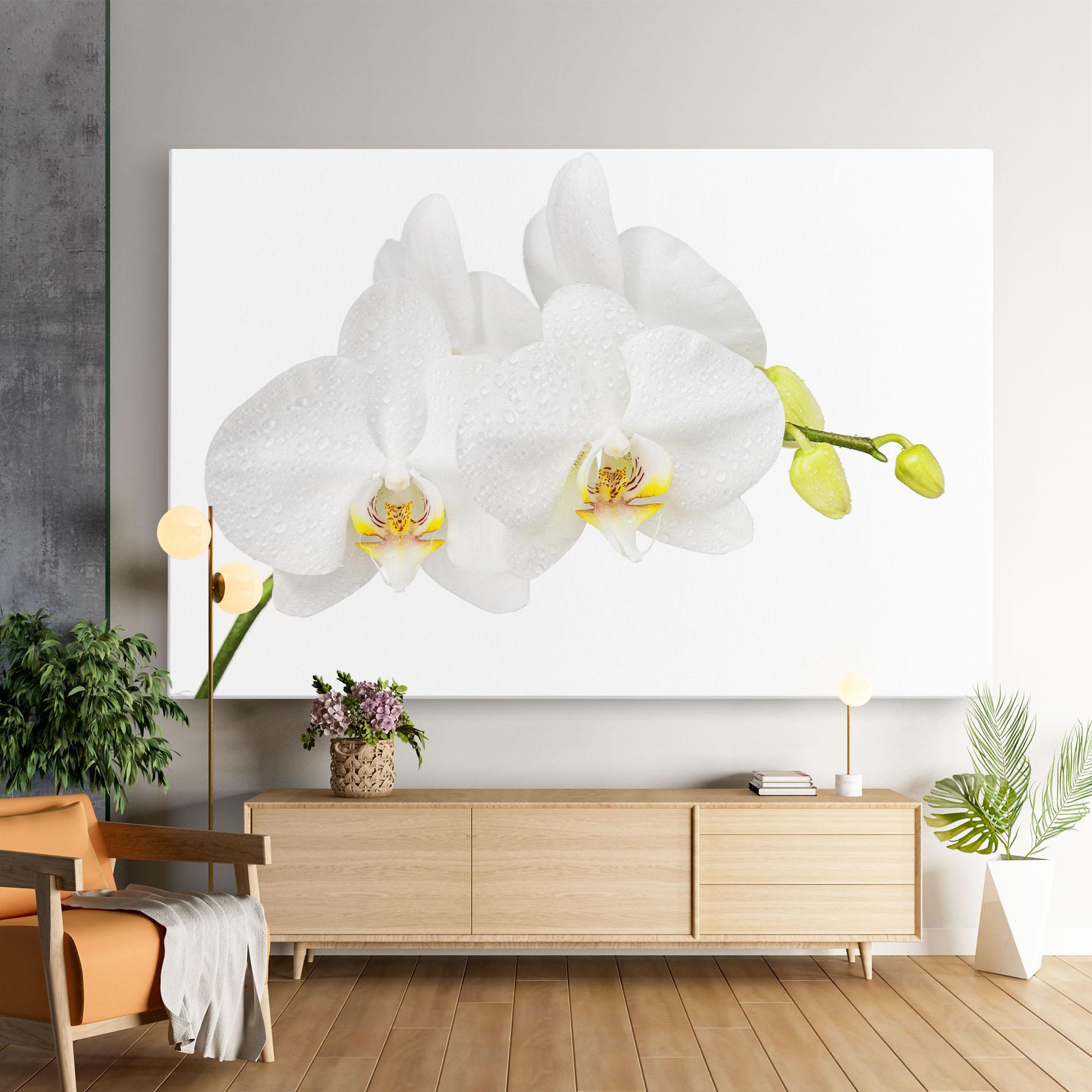 Leinwandbild Orchids On White mockup 9