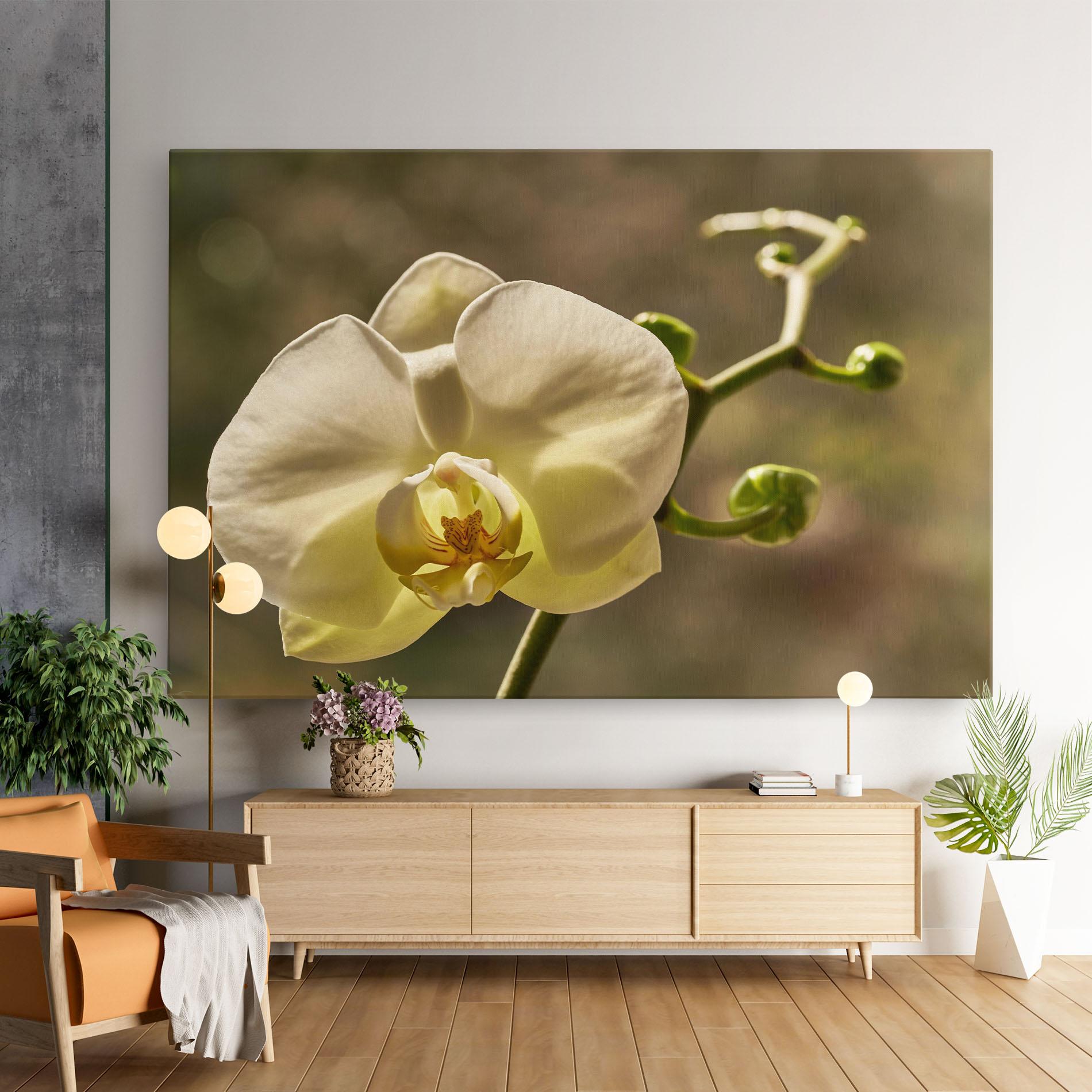 Leinwandbild Pastel Yellow Orchid In Garden mockup 9