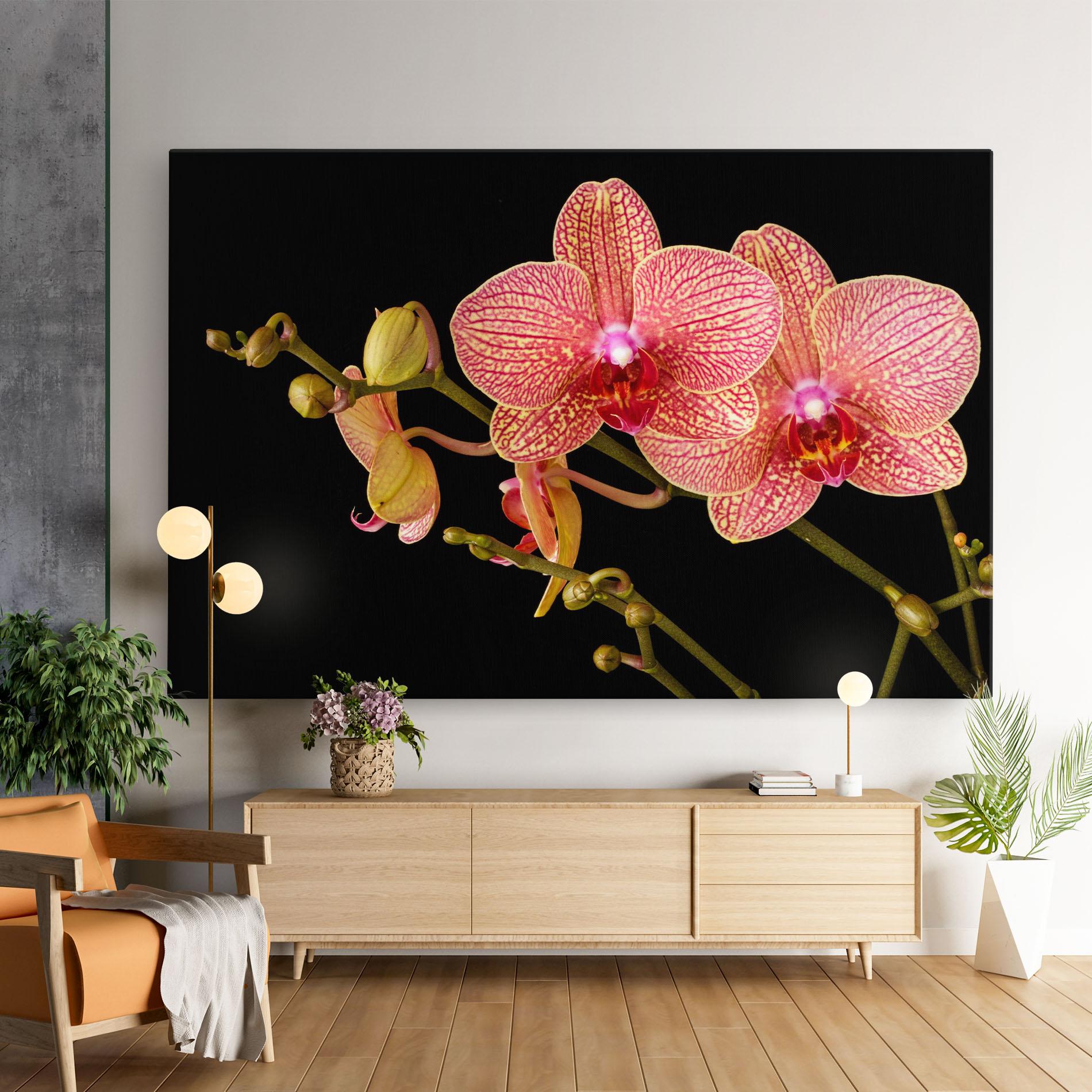 Leinwandbild Pink Orchids On Black mockup 9