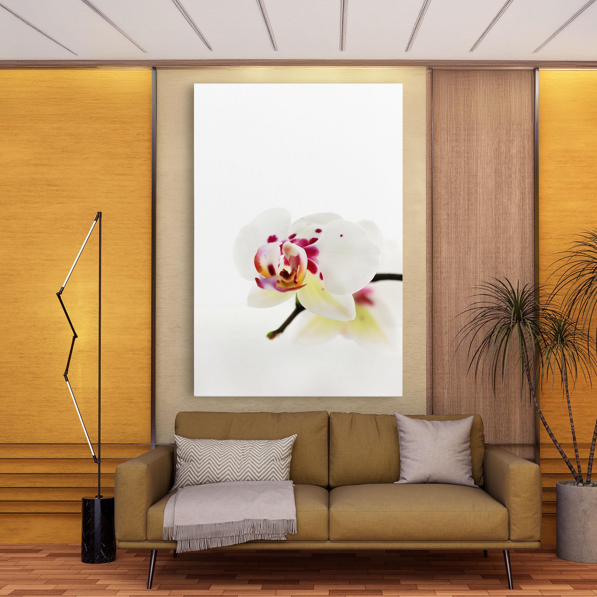 Leinwandbild Clean White Orchid mockup 9