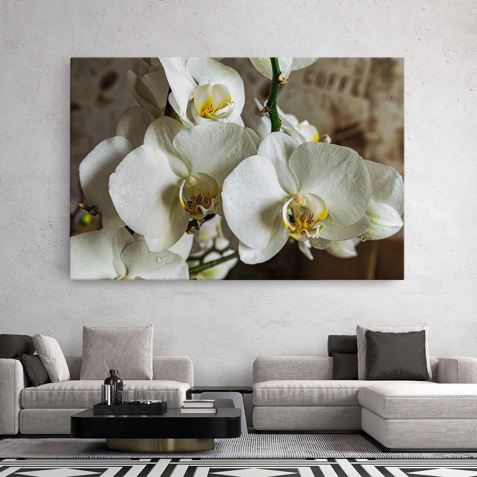 Leinwandbild Beautiful White Orchids mockup 2