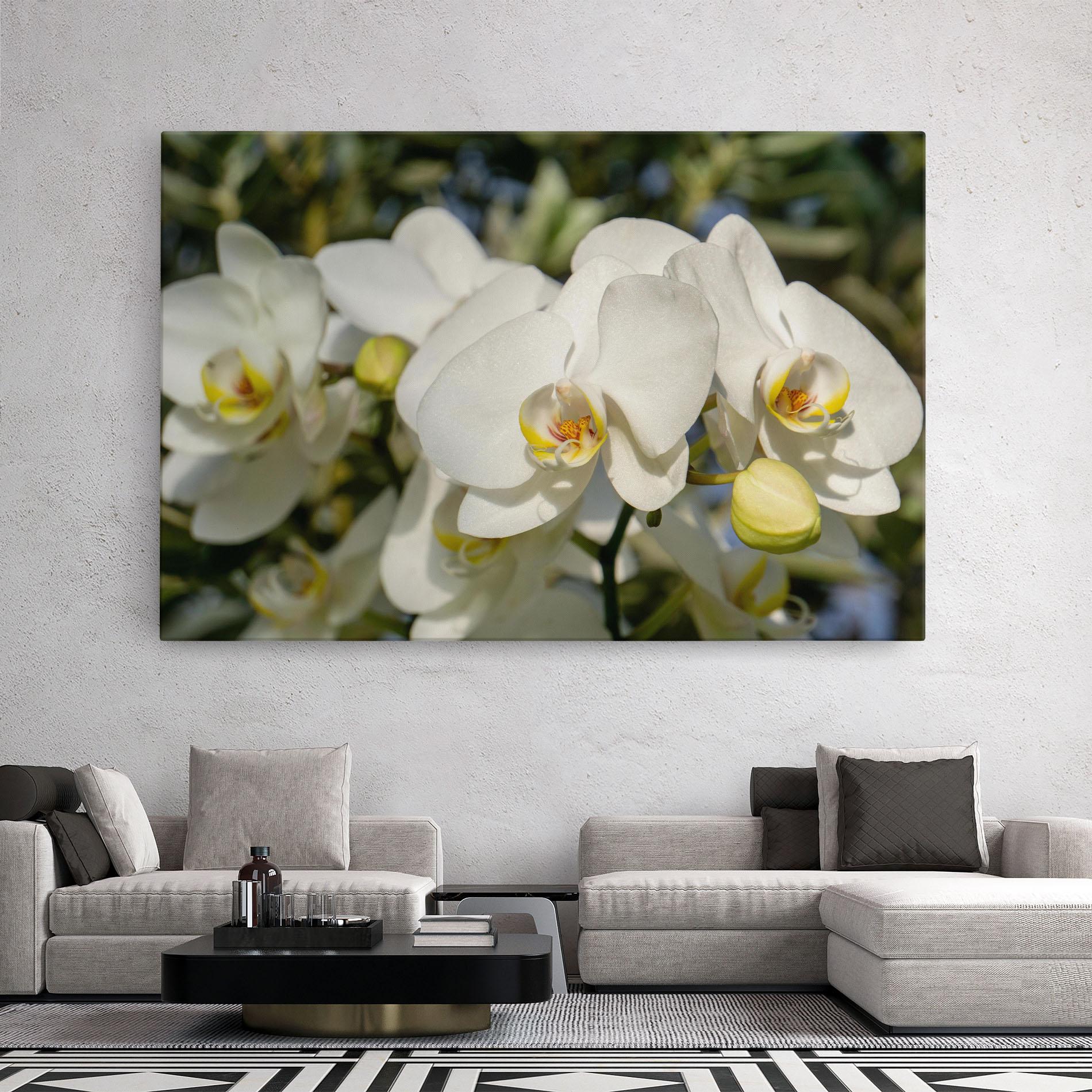 Leinwandbild Big Orchids In Nature mockup 2
