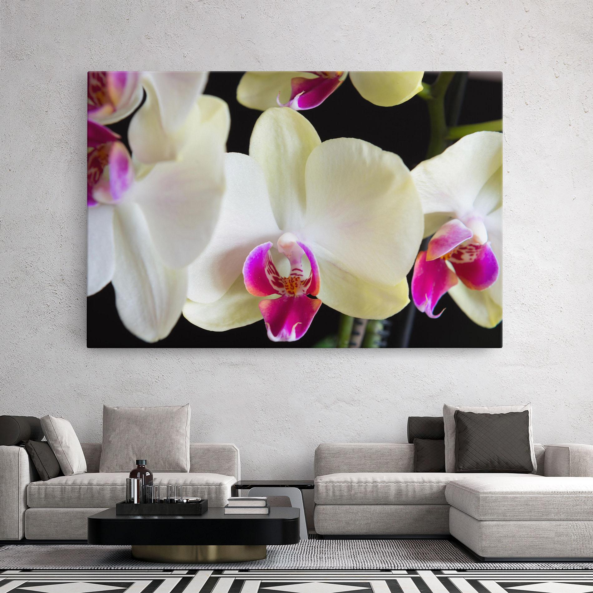 Leinwandbild Cream Purple Orchids mockup 2