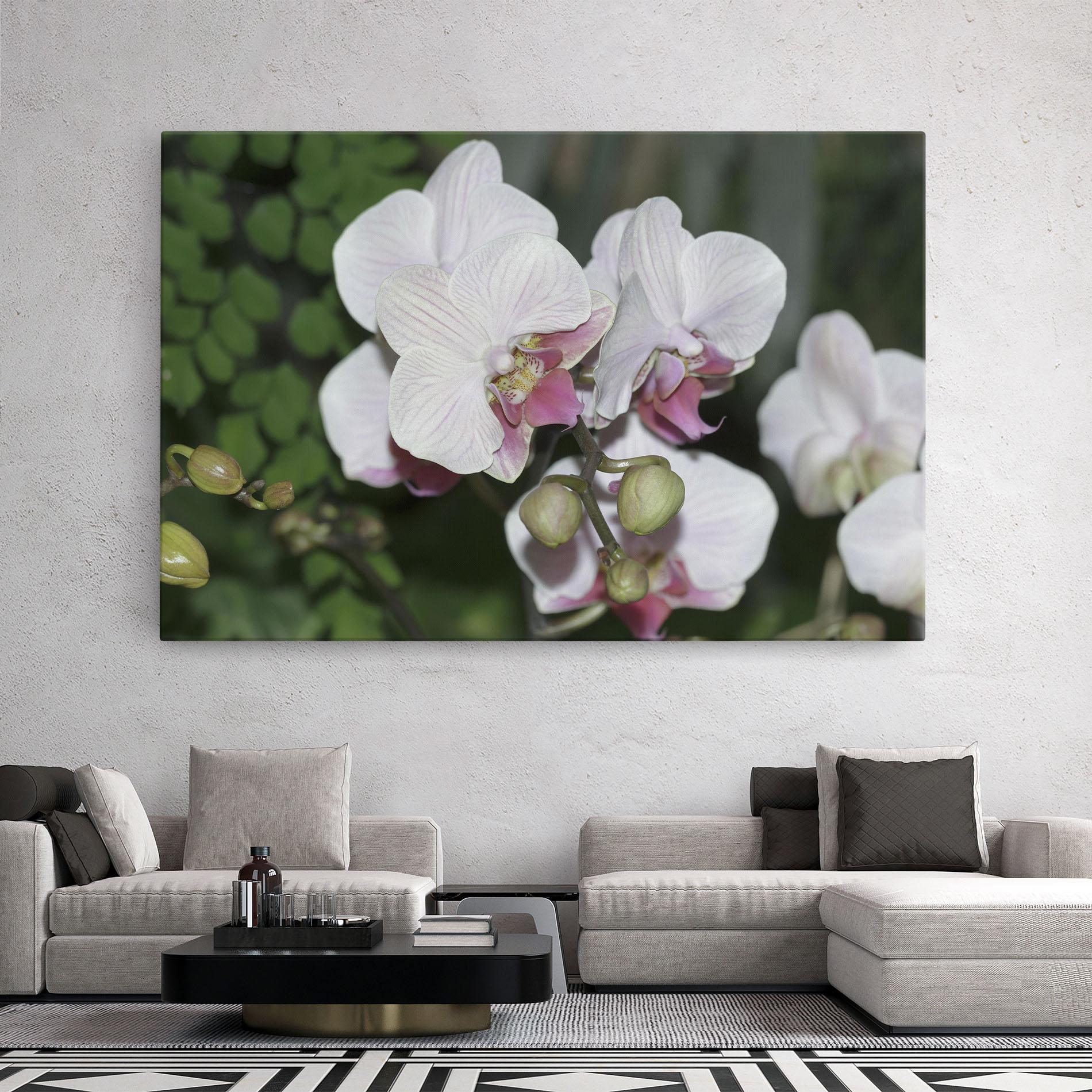 Leinwandbild Orchid Botanical Garden mockup 2