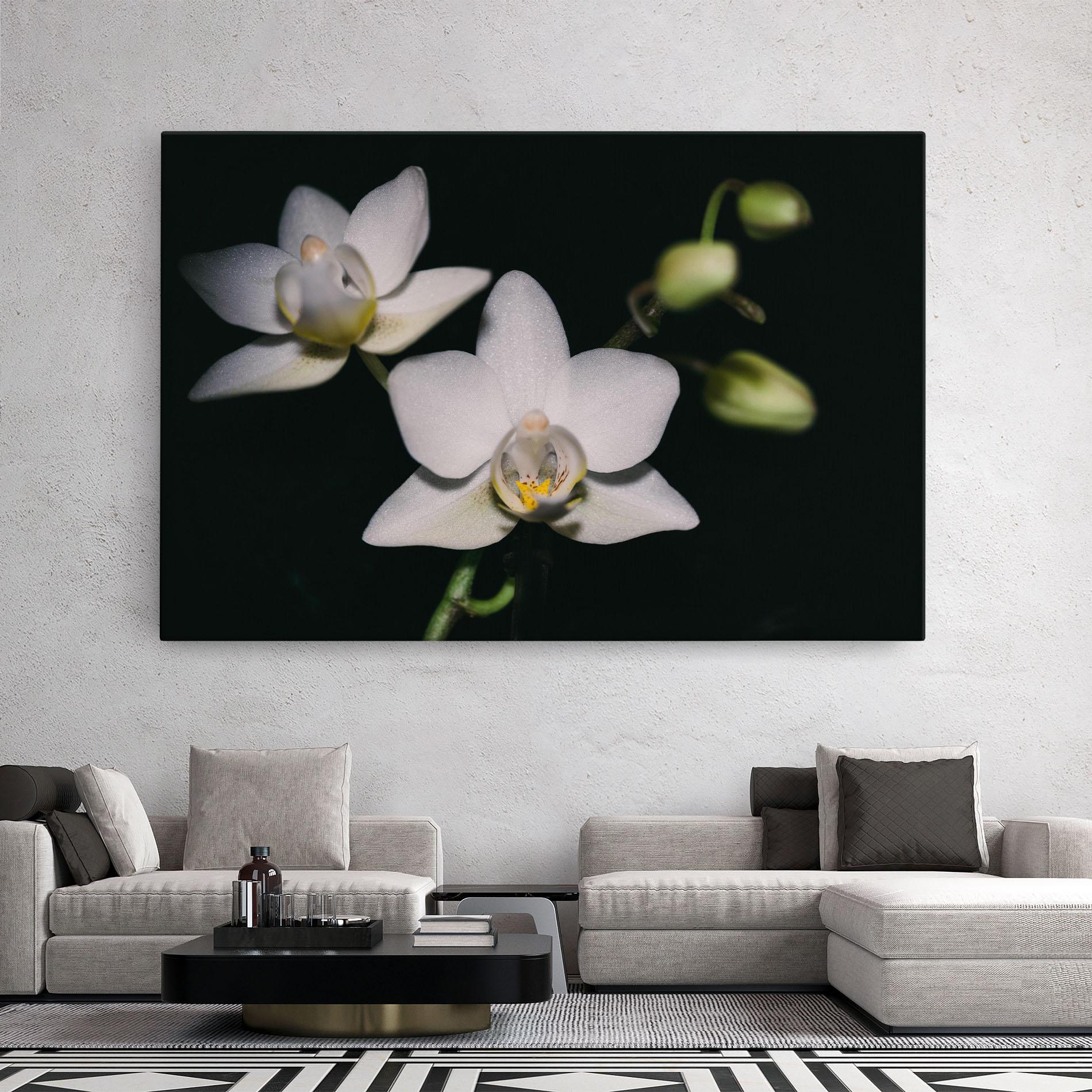 Leinwandbild Orchids On Black mockup 2