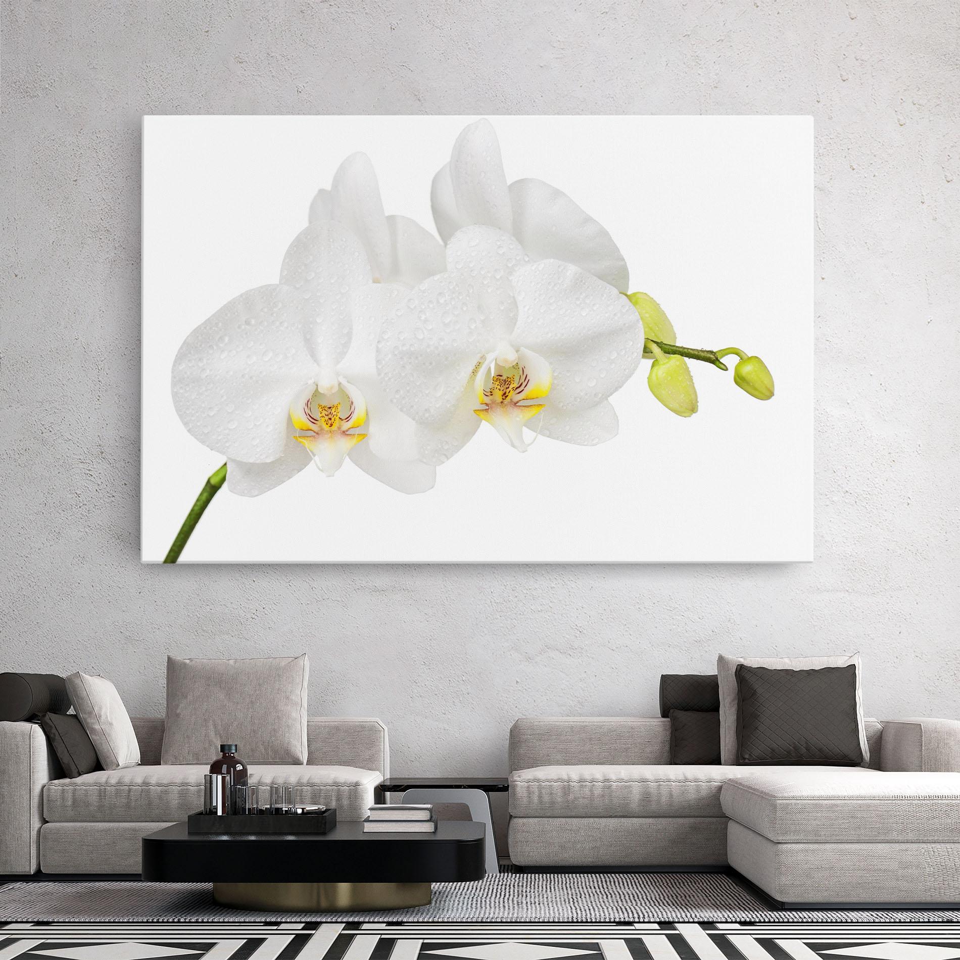 Leinwandbild Orchids On White mockup 2