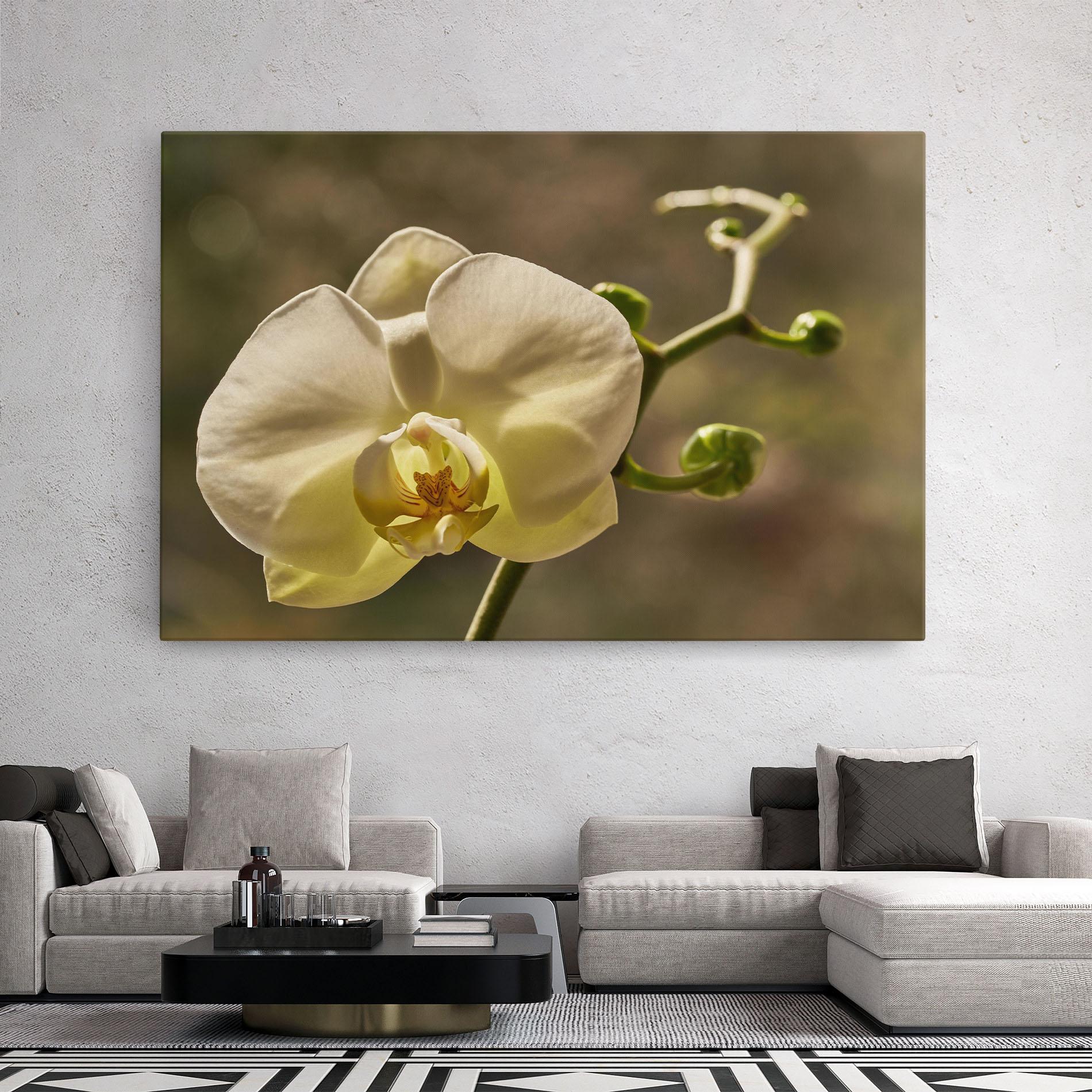 Leinwandbild Pastel Yellow Orchid In Garden mockup 2
