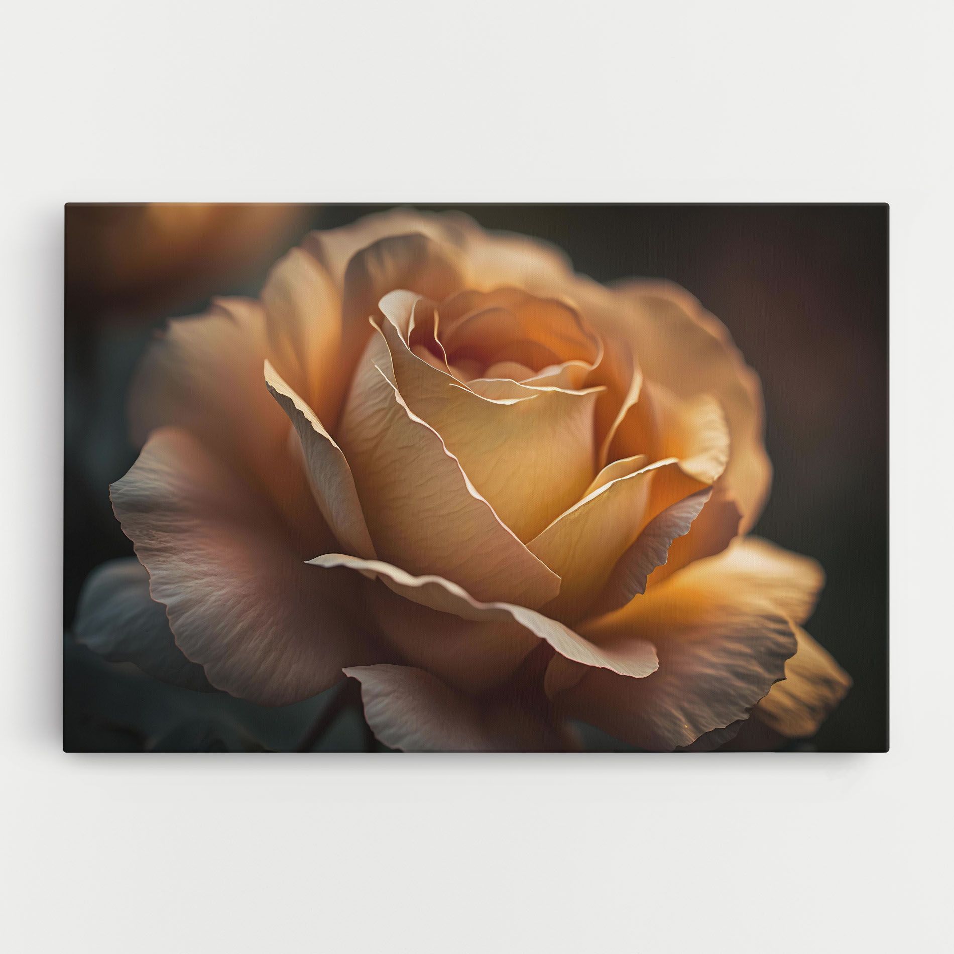 Light Orange Rose Close Up mockup 0