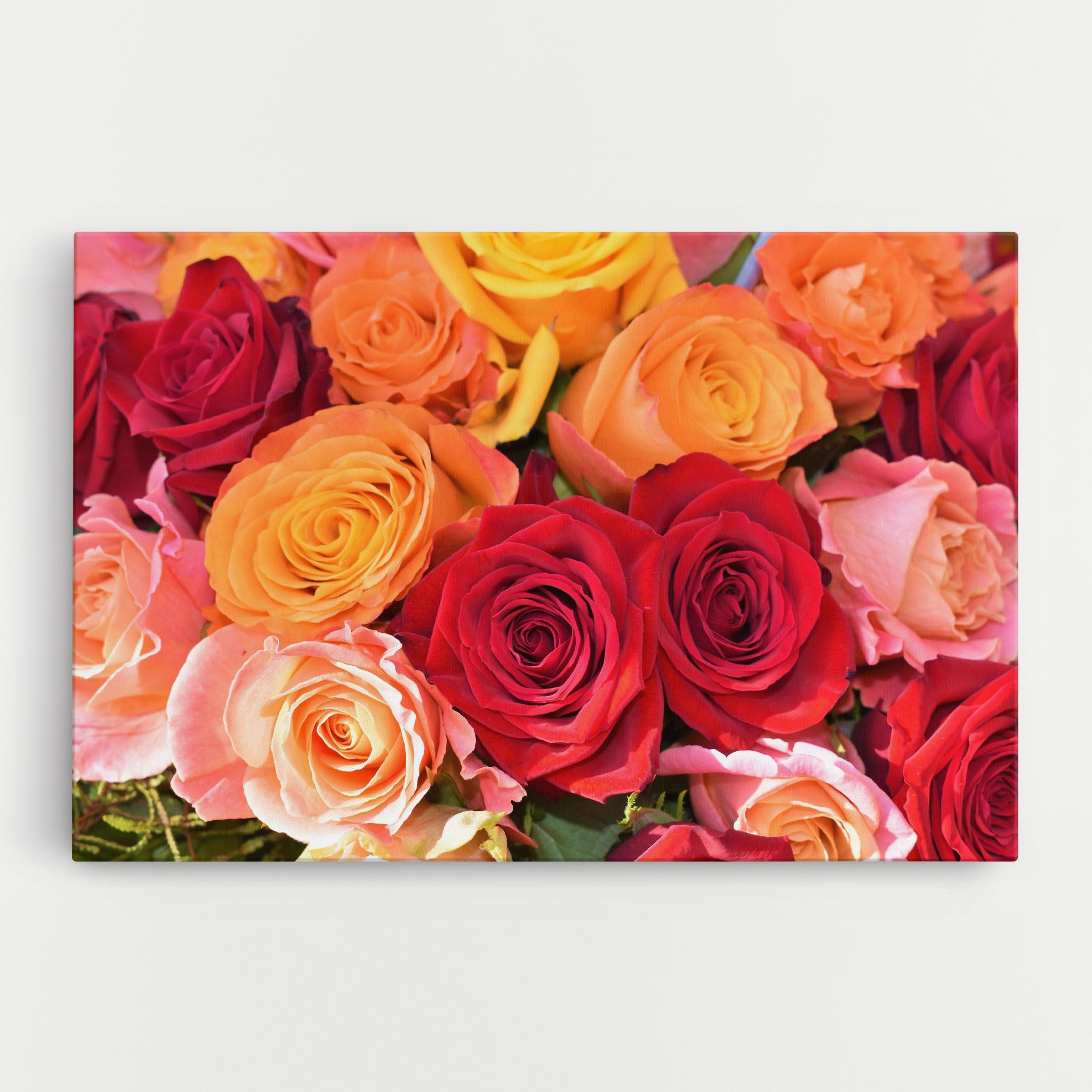 Mixed Roses mockup 0