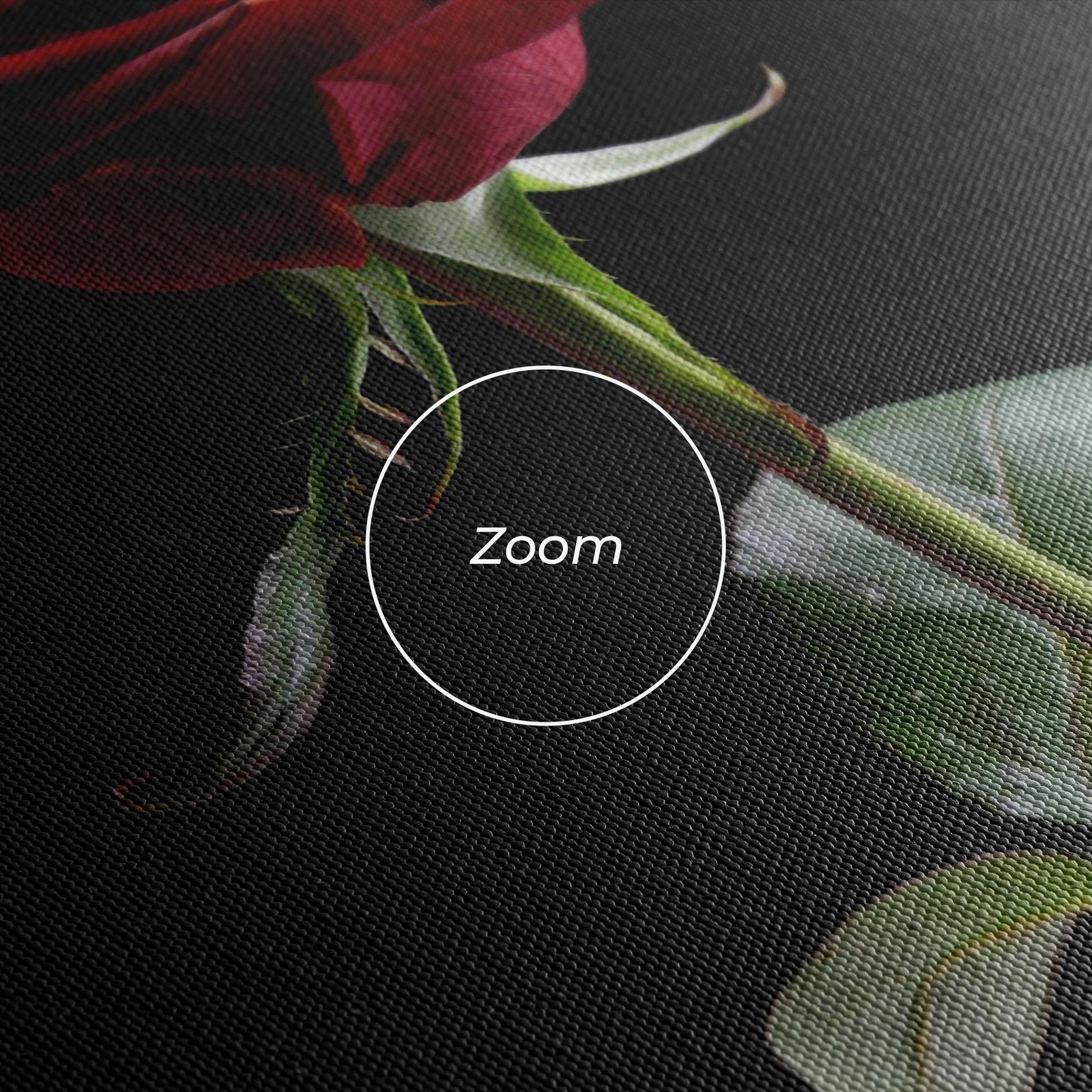 Leinwandbild Beautiful Red Rose mockup 3