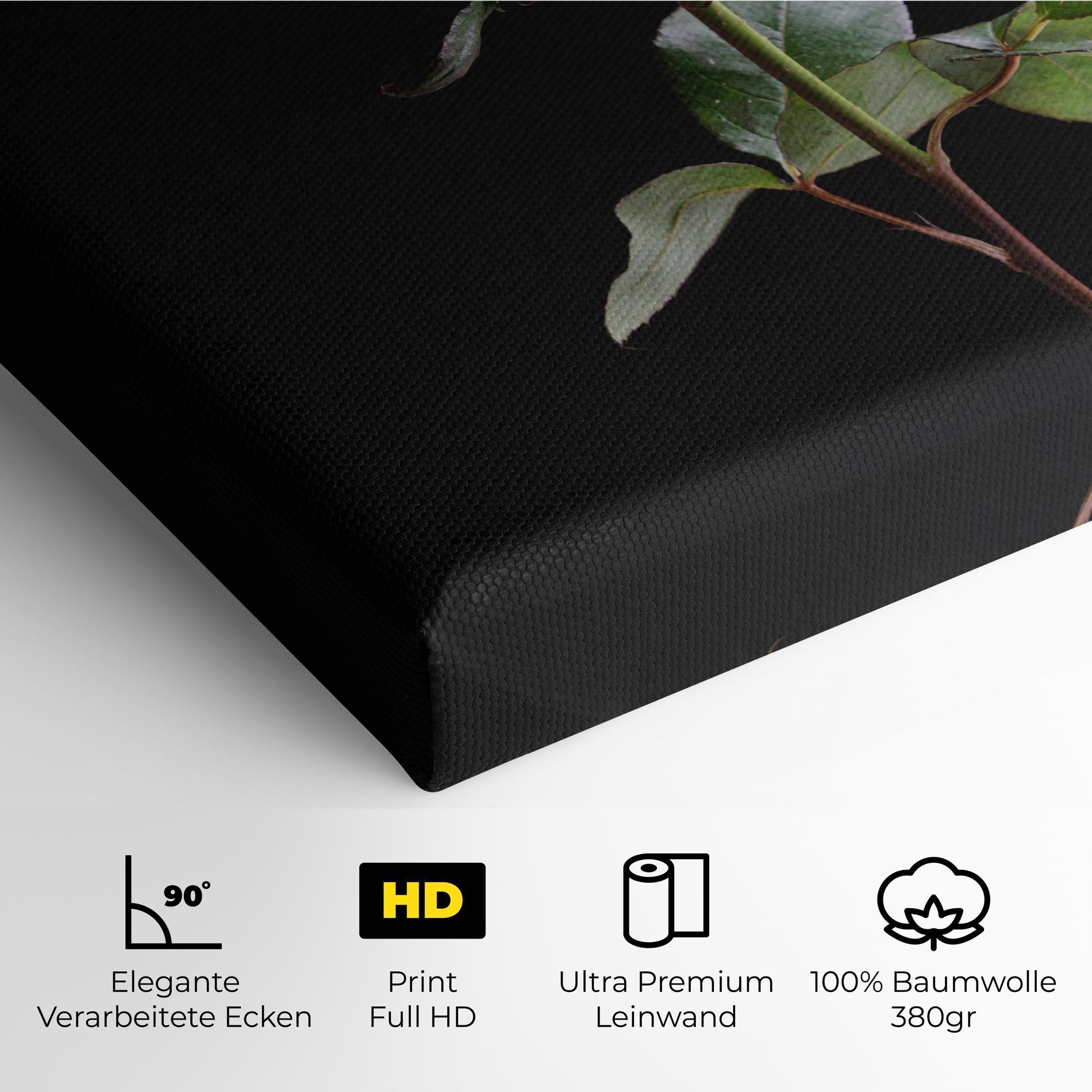 Leinwandbild Beautiful Red Rose mockup 4