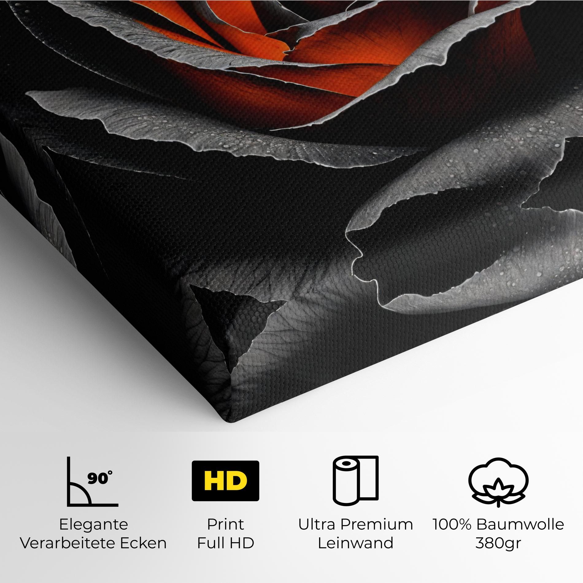 Grey Orange Rose mockup 4