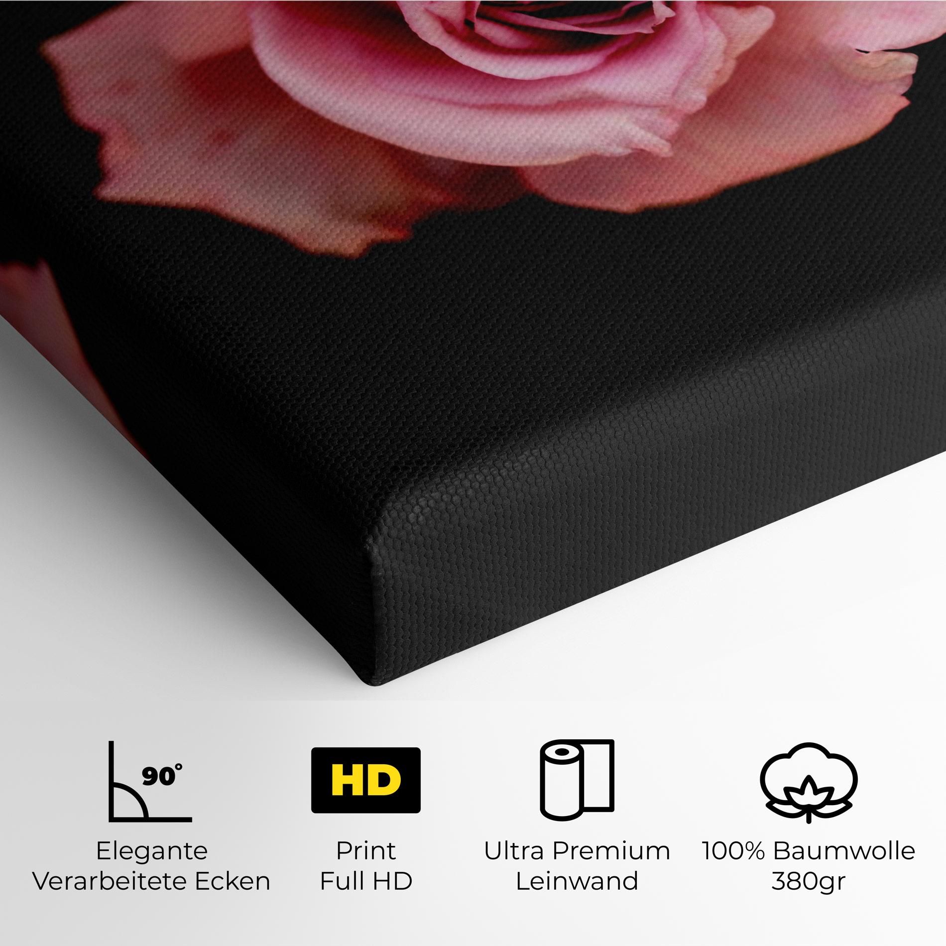 Opened Pink Rose mockup 4