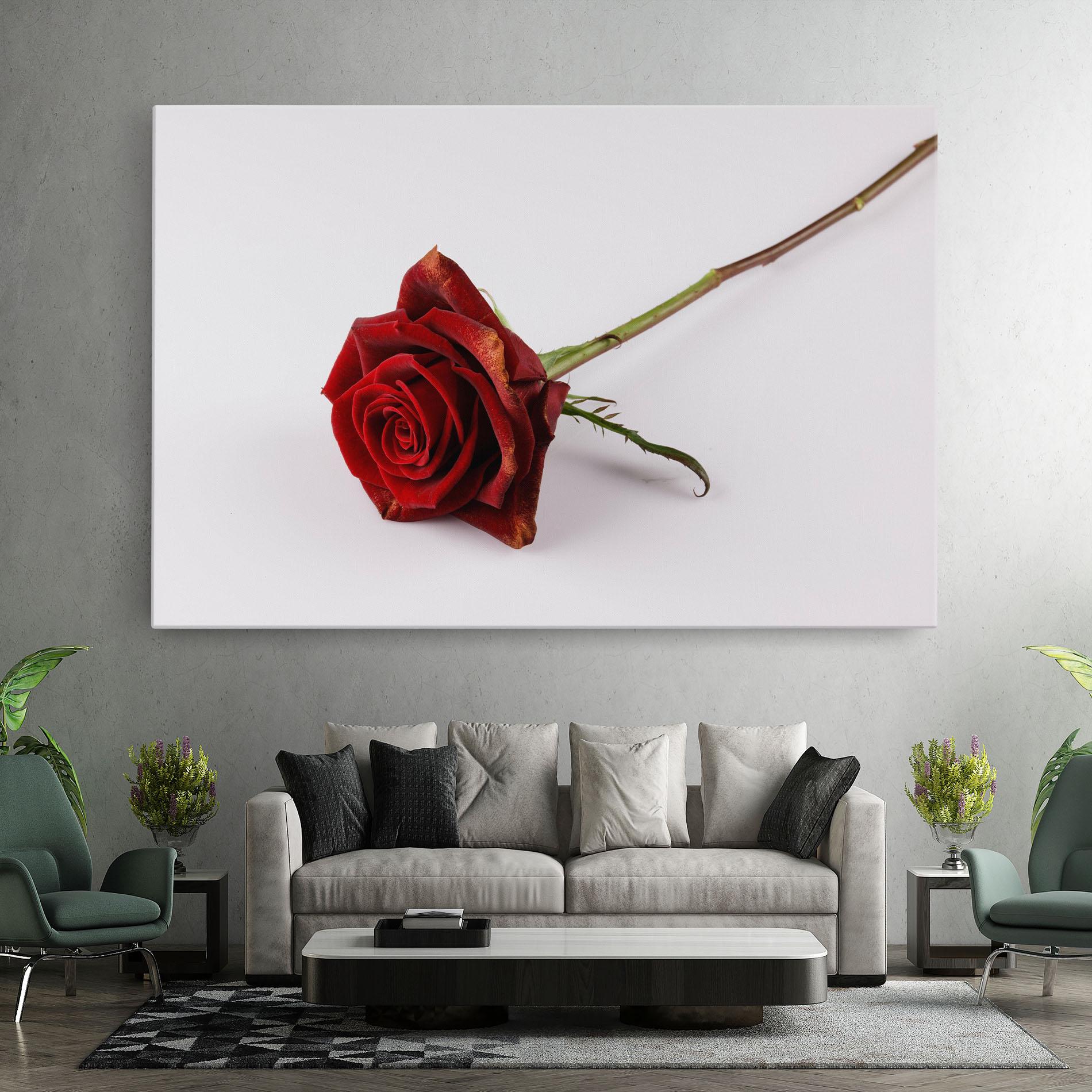 Leinwandbild Lonely Rose mockup 7