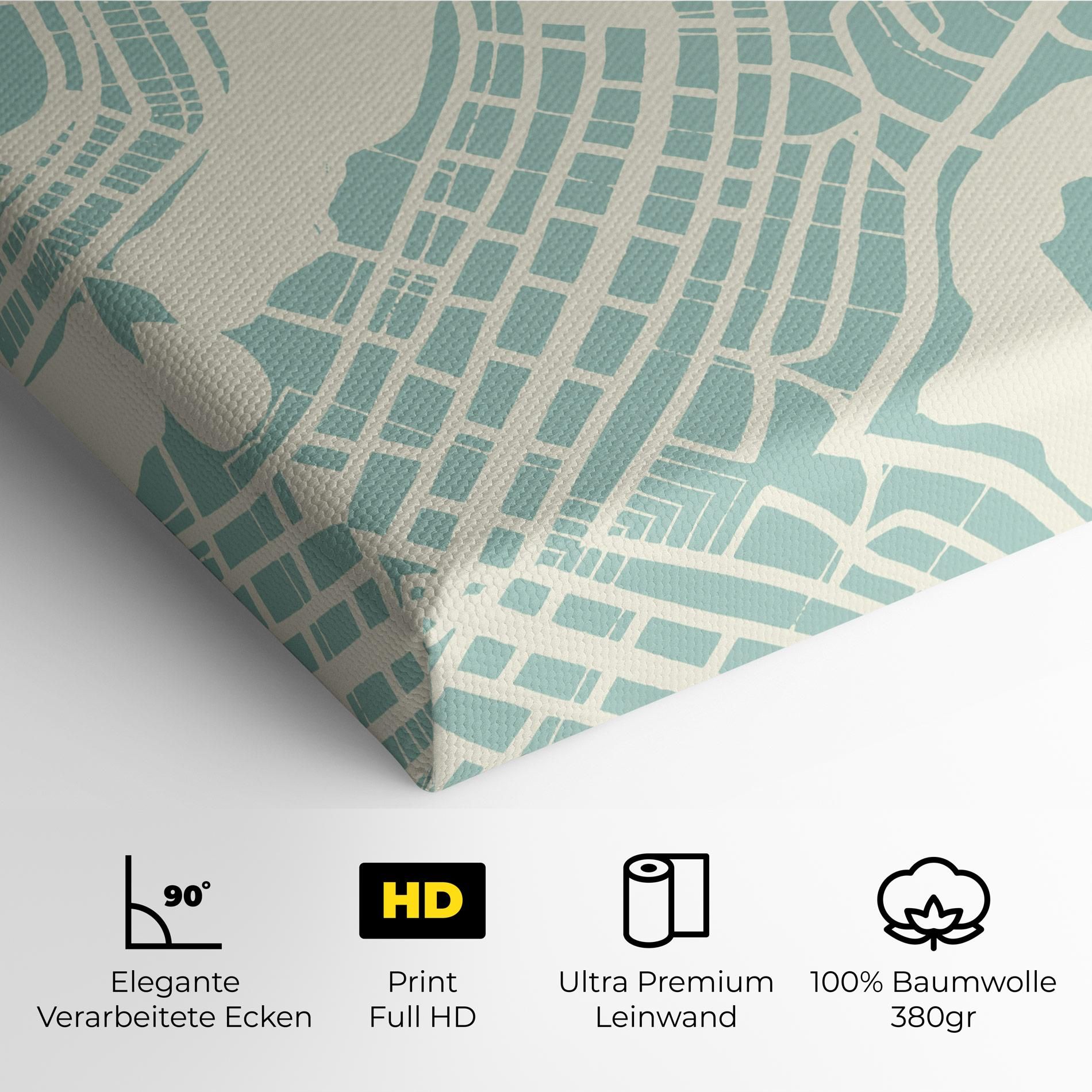 Brasilia Map mockup 4