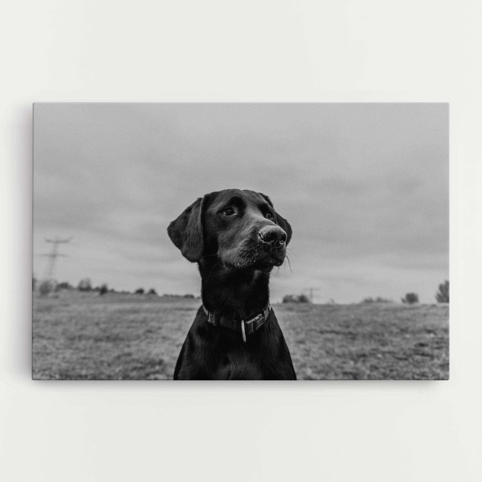 Leinwandbild Black Dog mockup 0