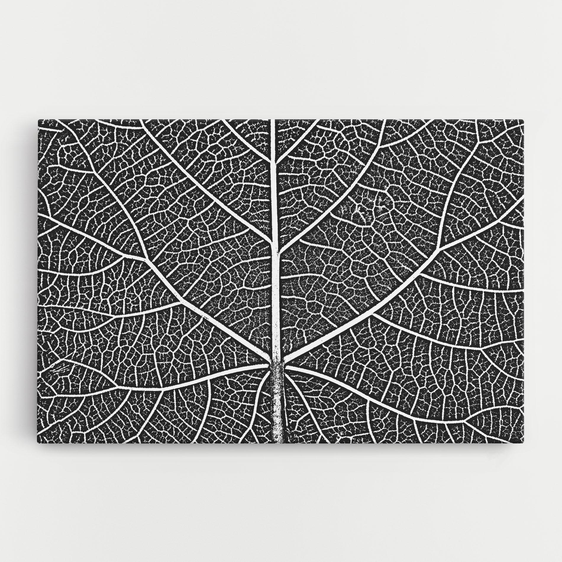 Leinwandbild Close Grey Leaf mockup 0