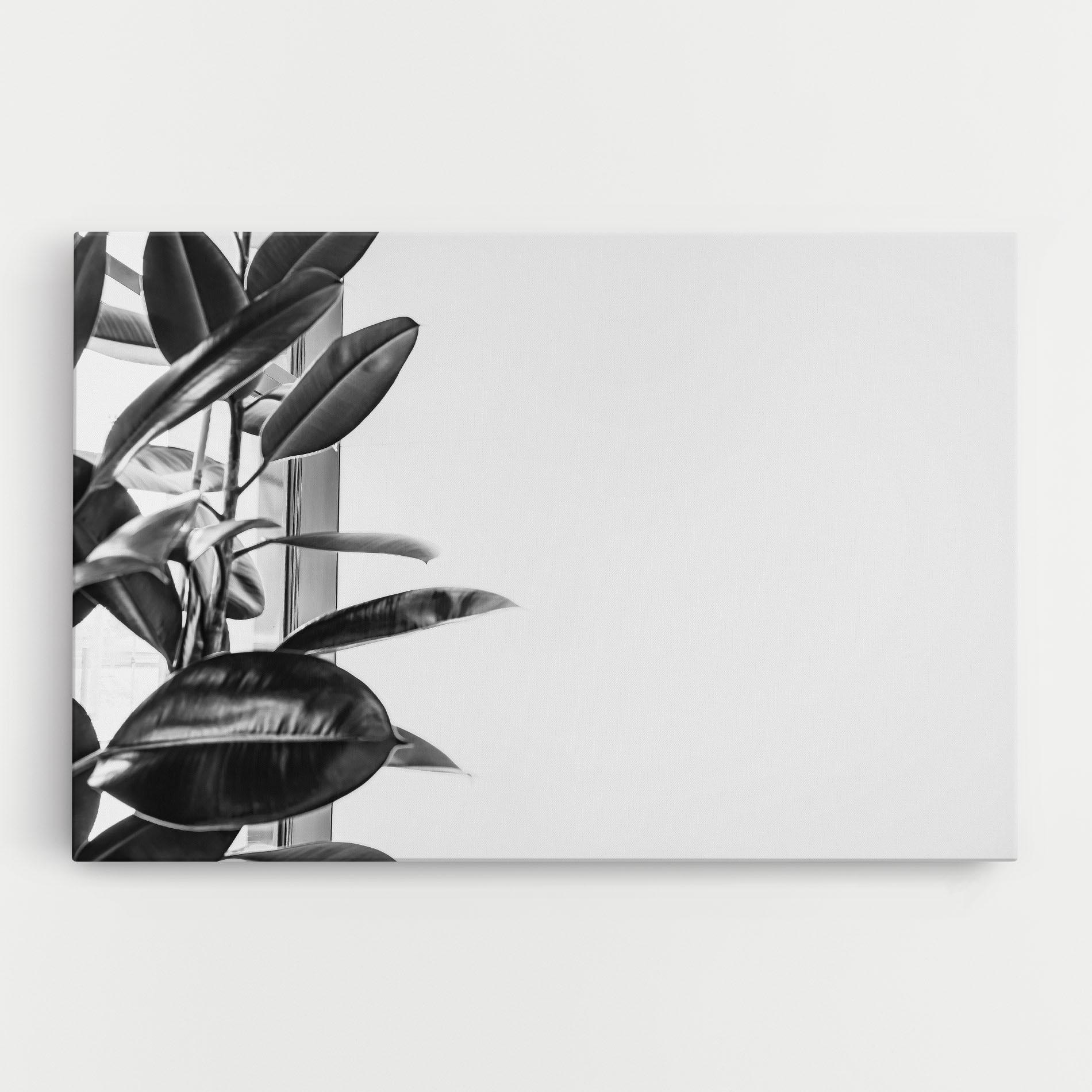 Leinwandbild Grey Plant mockup 0