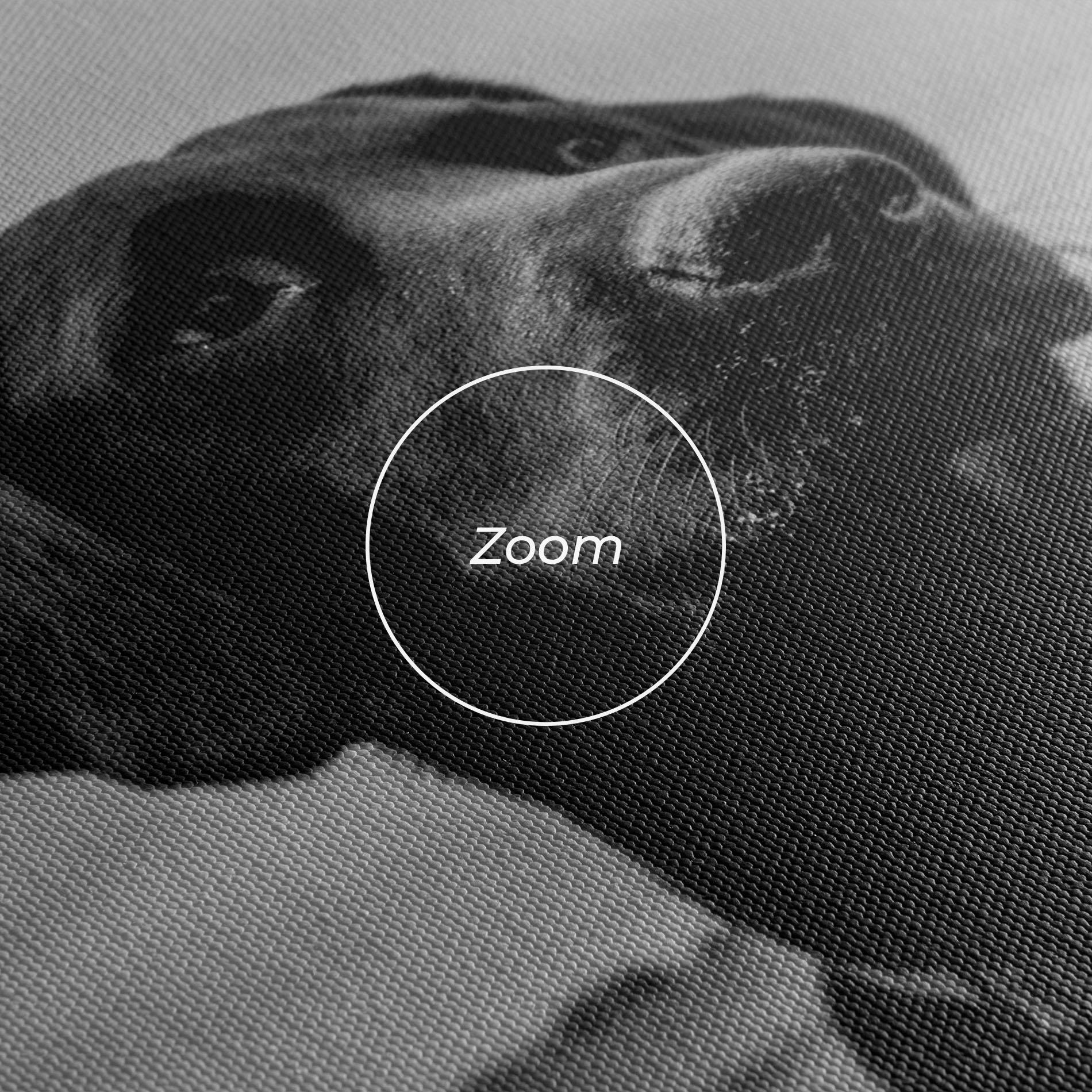 Leinwandbild Black Dog mockup 3
