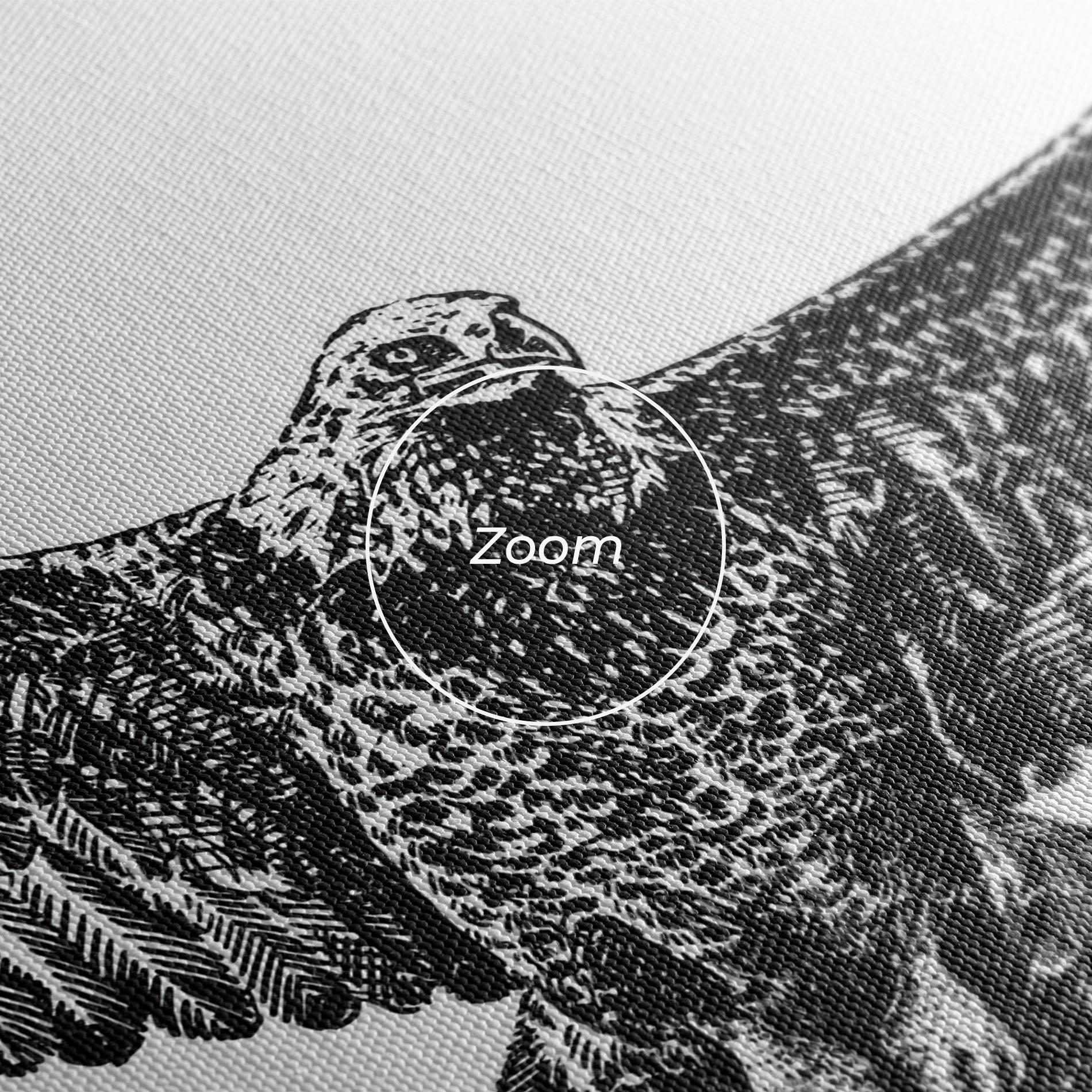 Leinwandbild Eagle Art Line mockup 3