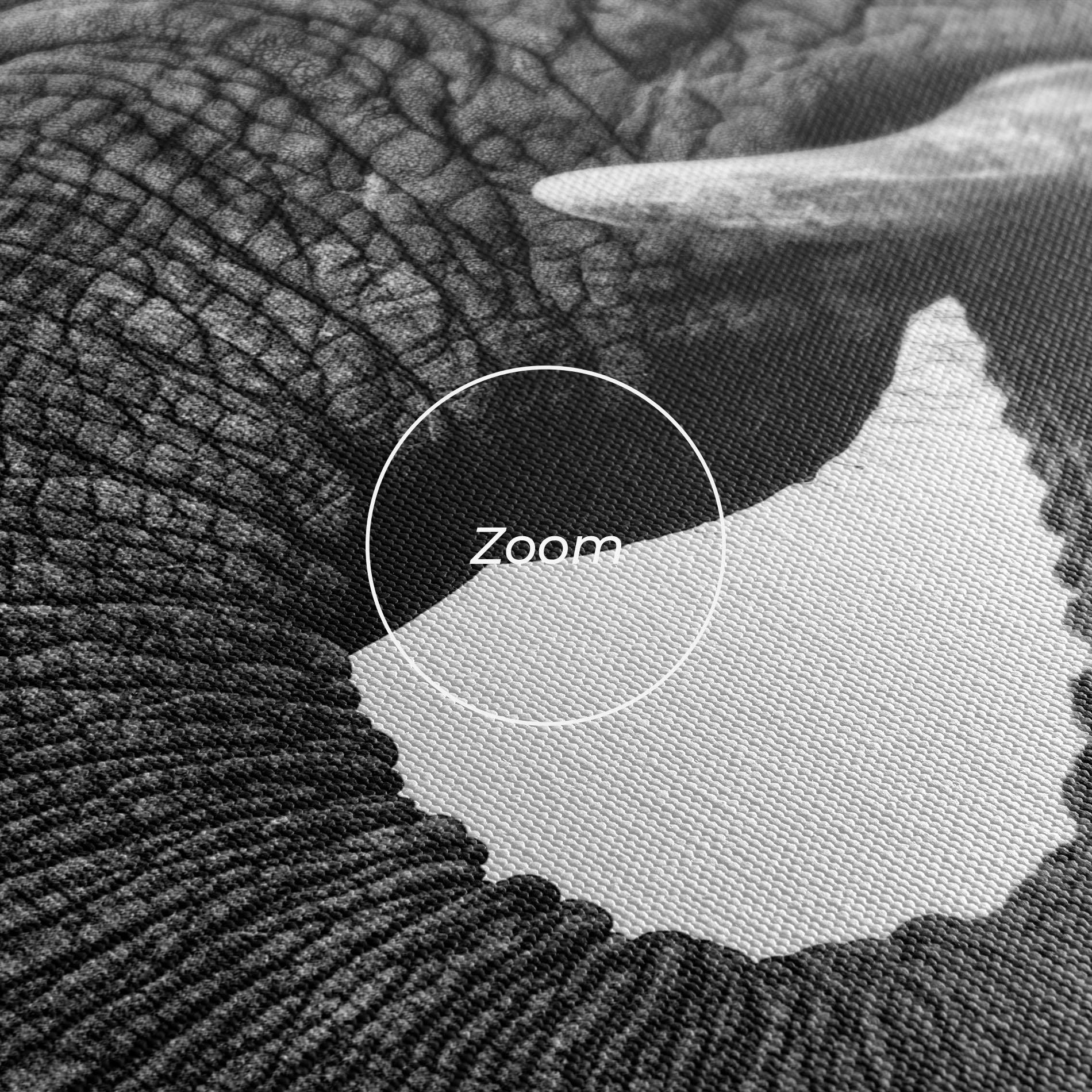 Leinwandbild Elephant Drinking mockup 3