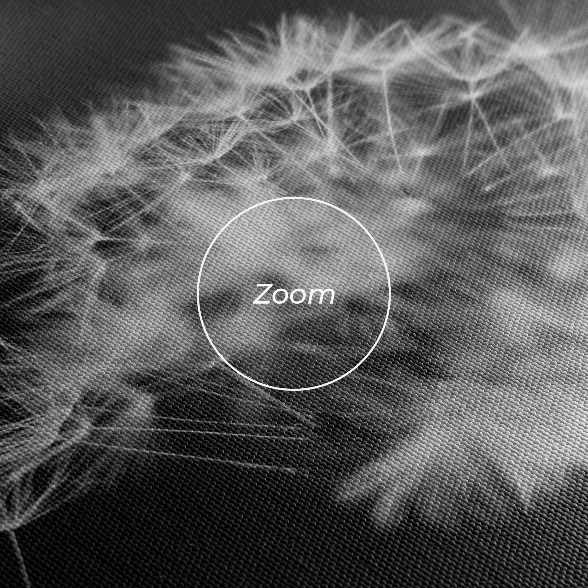 Leinwandbild Grey Dandelion mockup 3