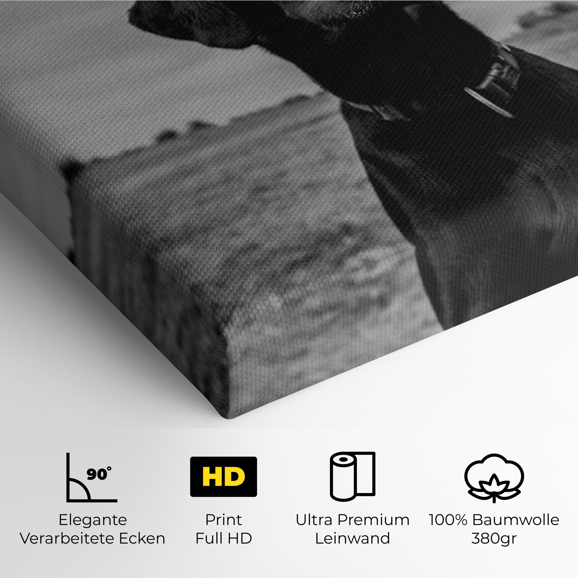 Leinwandbild Black Dog mockup 4