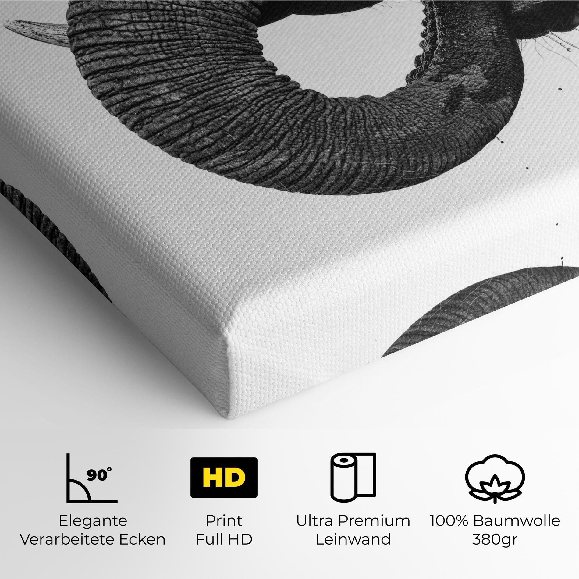 Leinwandbild Elephant Drinking mockup 4