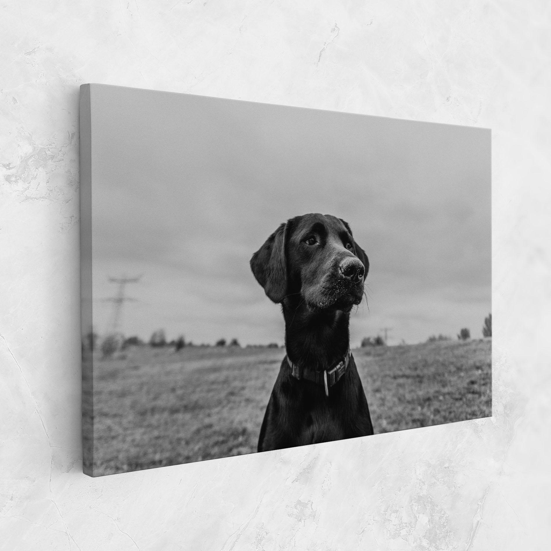 Leinwandbild Black Dog mockup 1