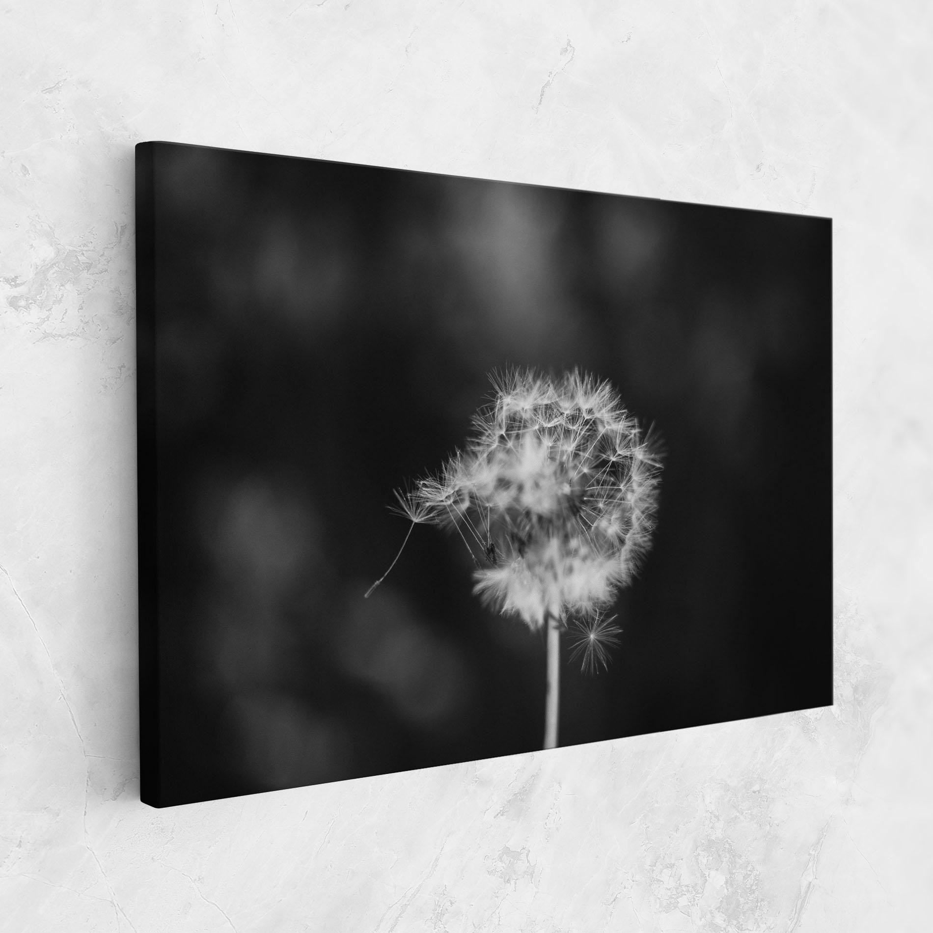 Leinwandbild Grey Dandelion mockup 1