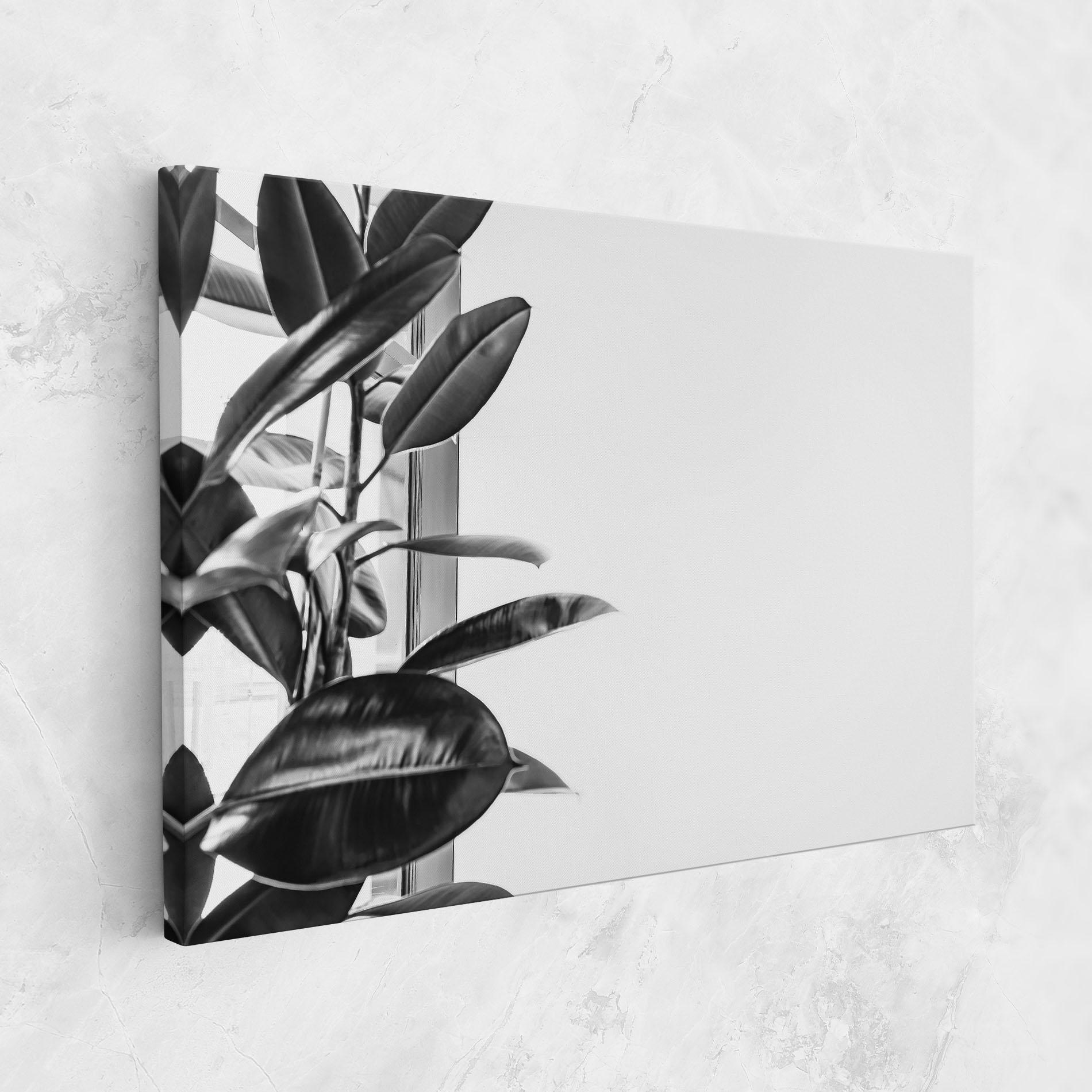 Leinwandbild Grey Plant mockup 1
