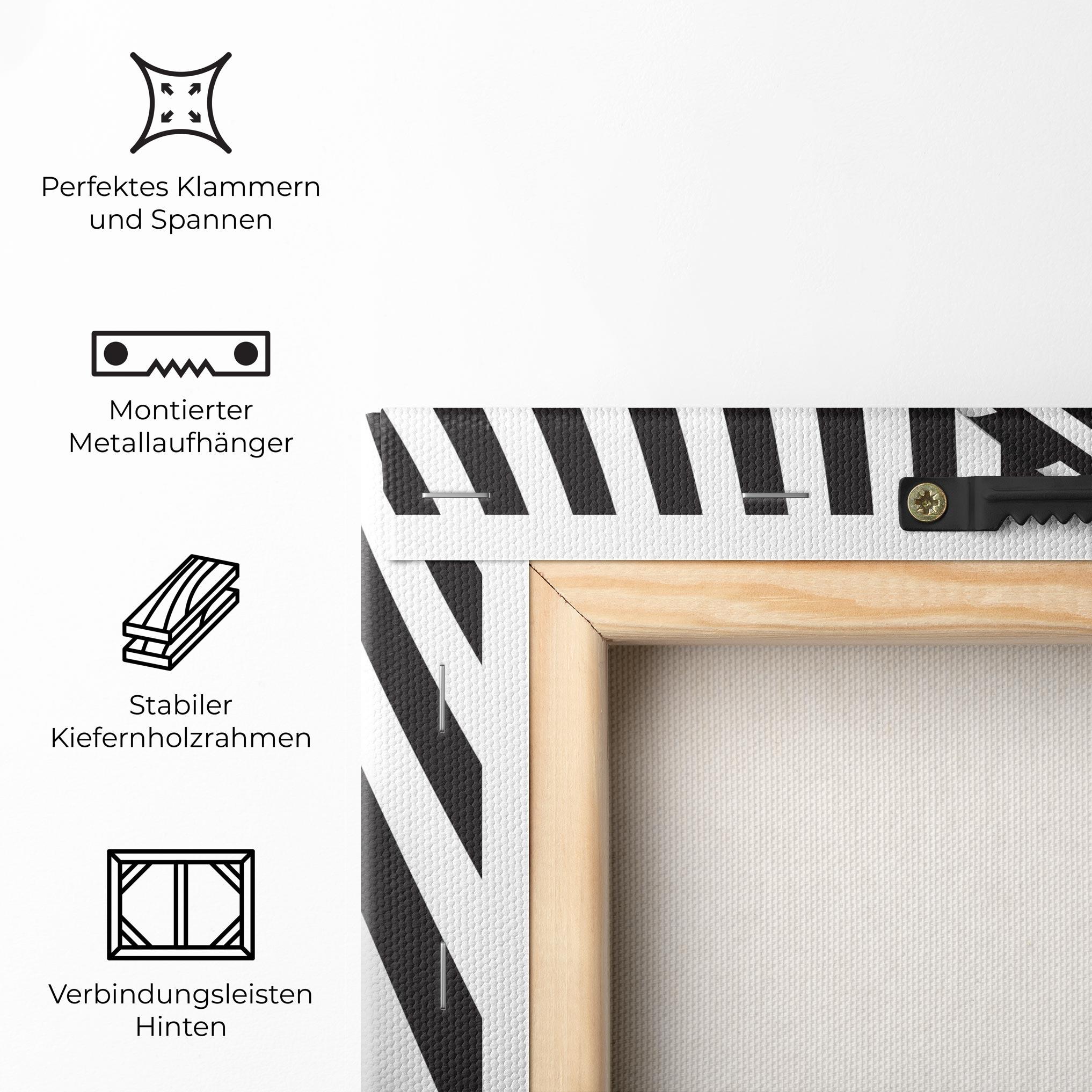 Leinwandbild 3d Ball Zebra mockup 5