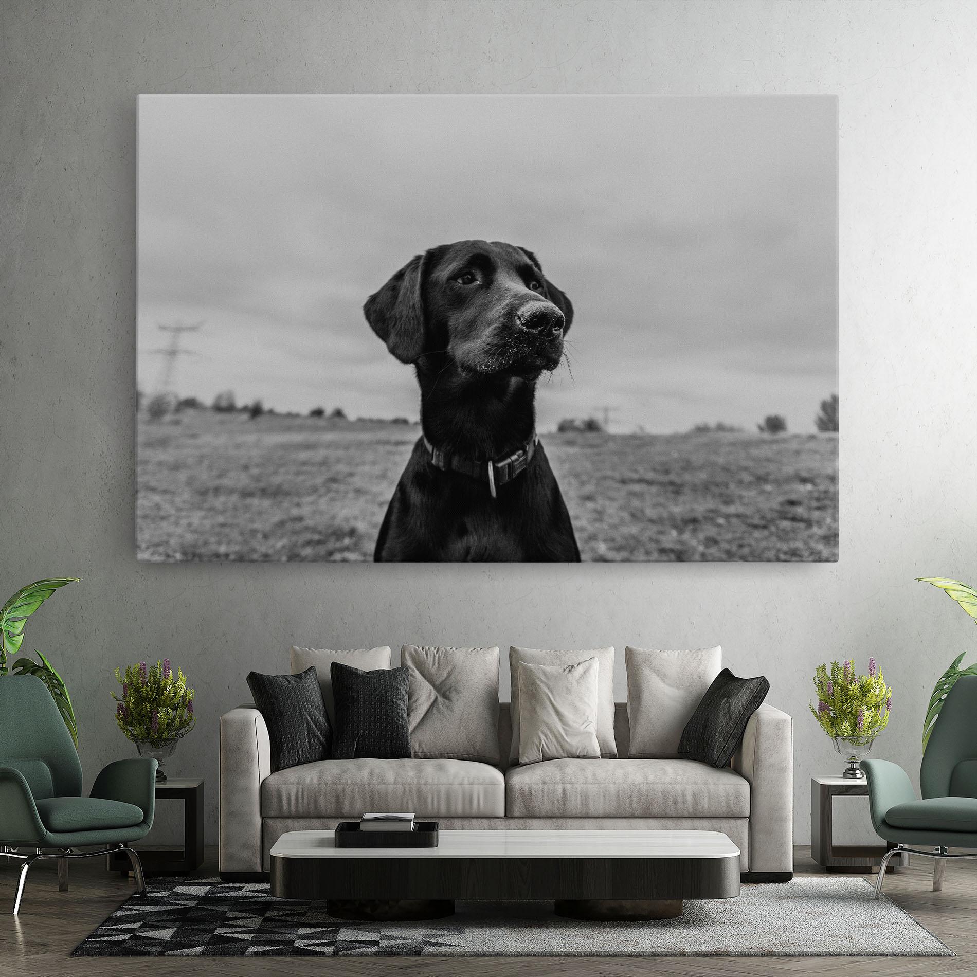 Leinwandbild Black Dog mockup 7