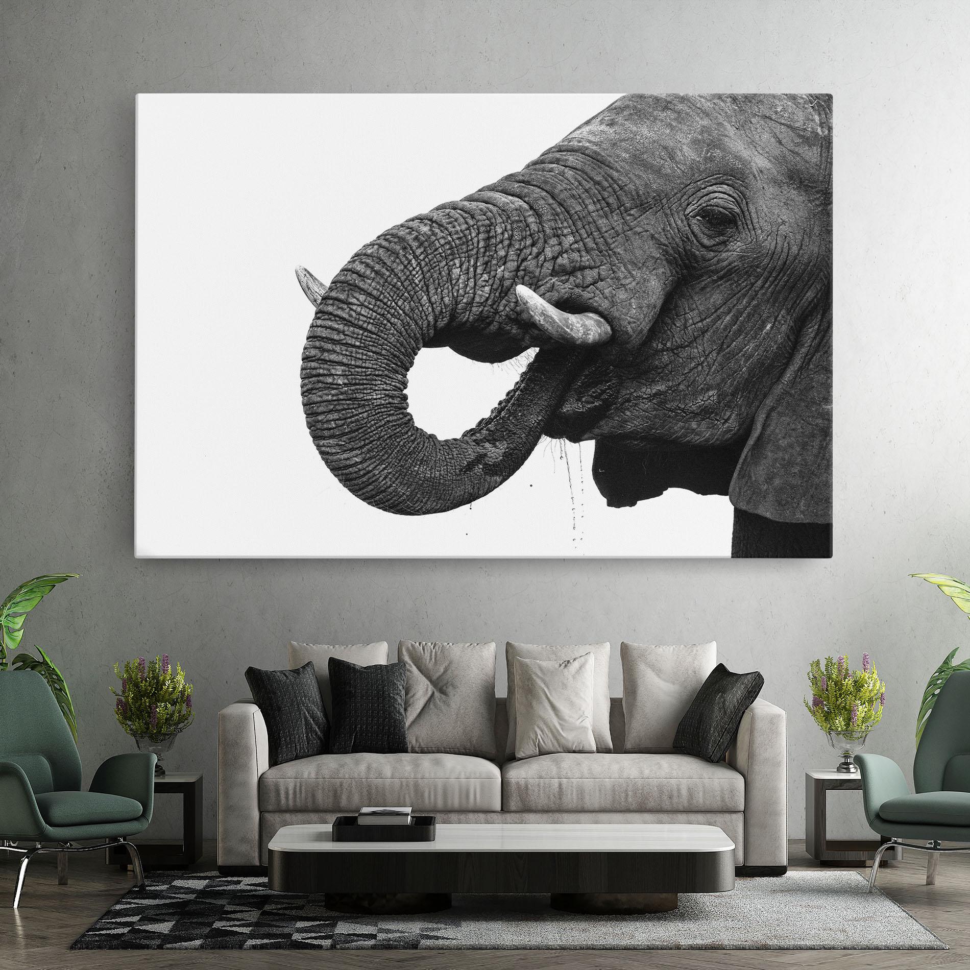 Leinwandbild Elephant Drinking mockup 7