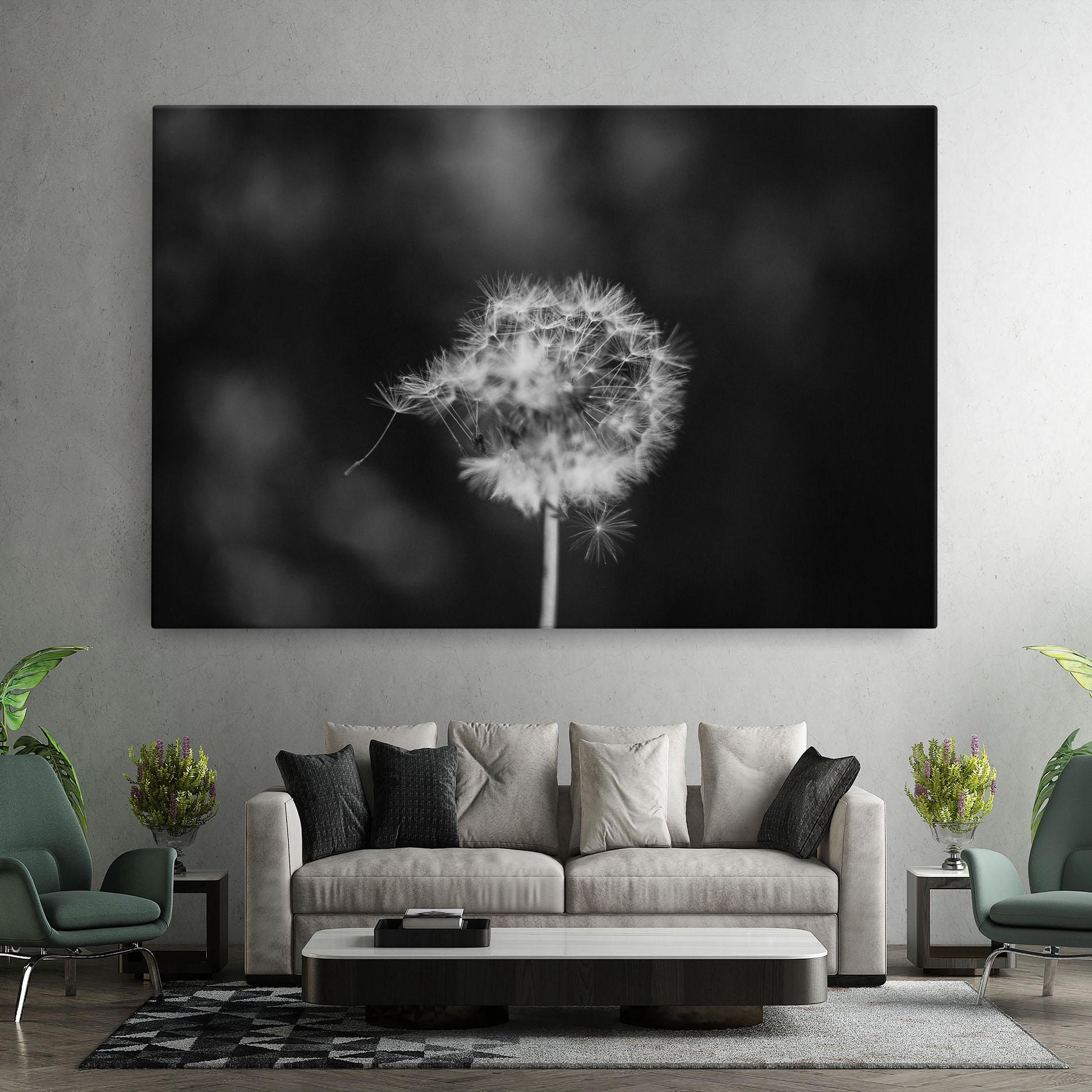 Leinwandbild Grey Dandelion mockup 7