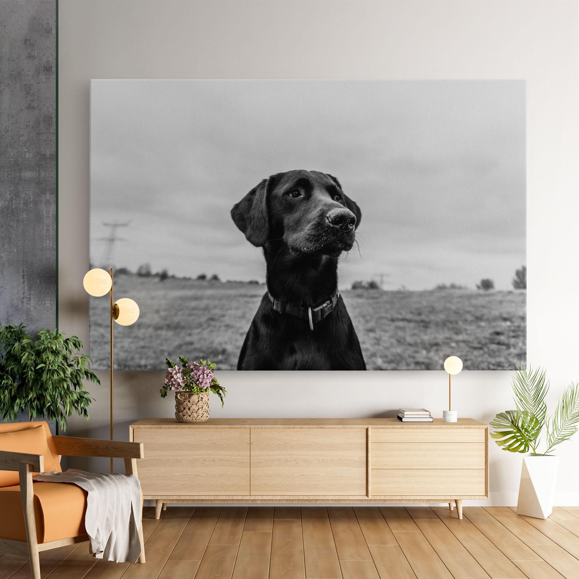 Leinwandbild Black Dog mockup 9
