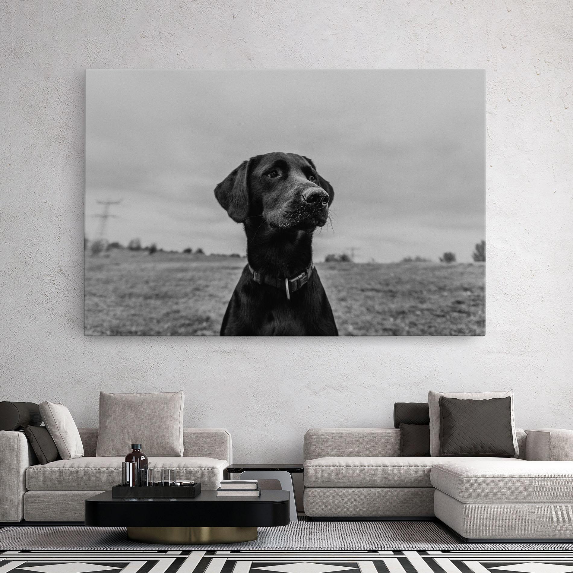 Leinwandbild Black Dog mockup 2