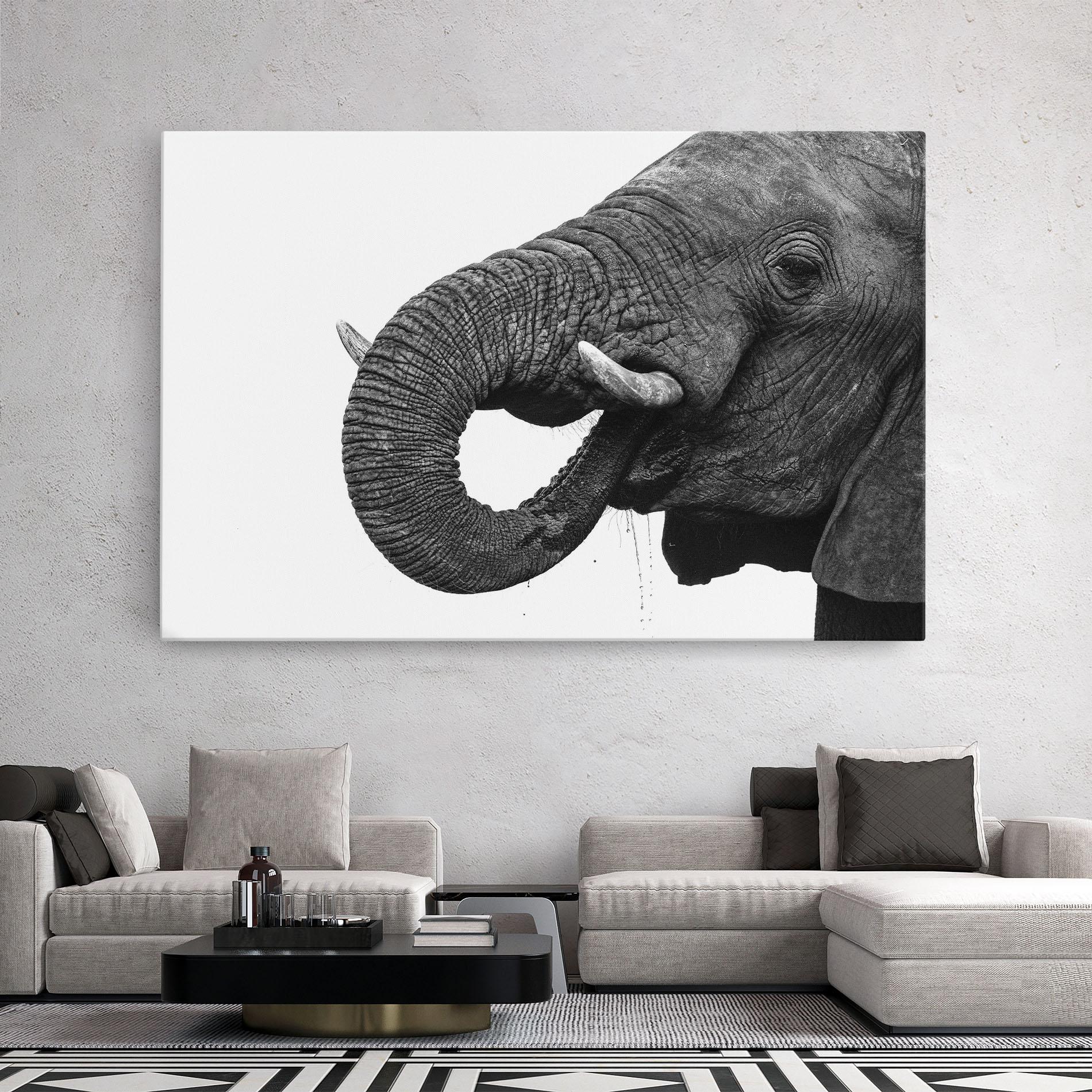 Leinwandbild Elephant Drinking mockup 2