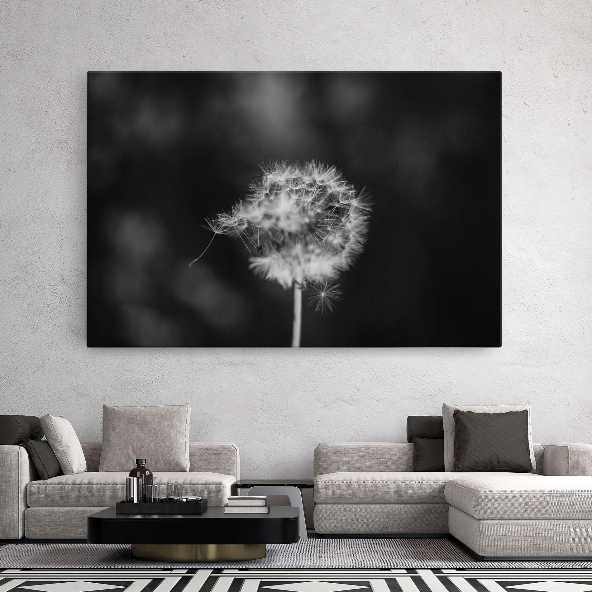 Leinwandbild Grey Dandelion mockup 2