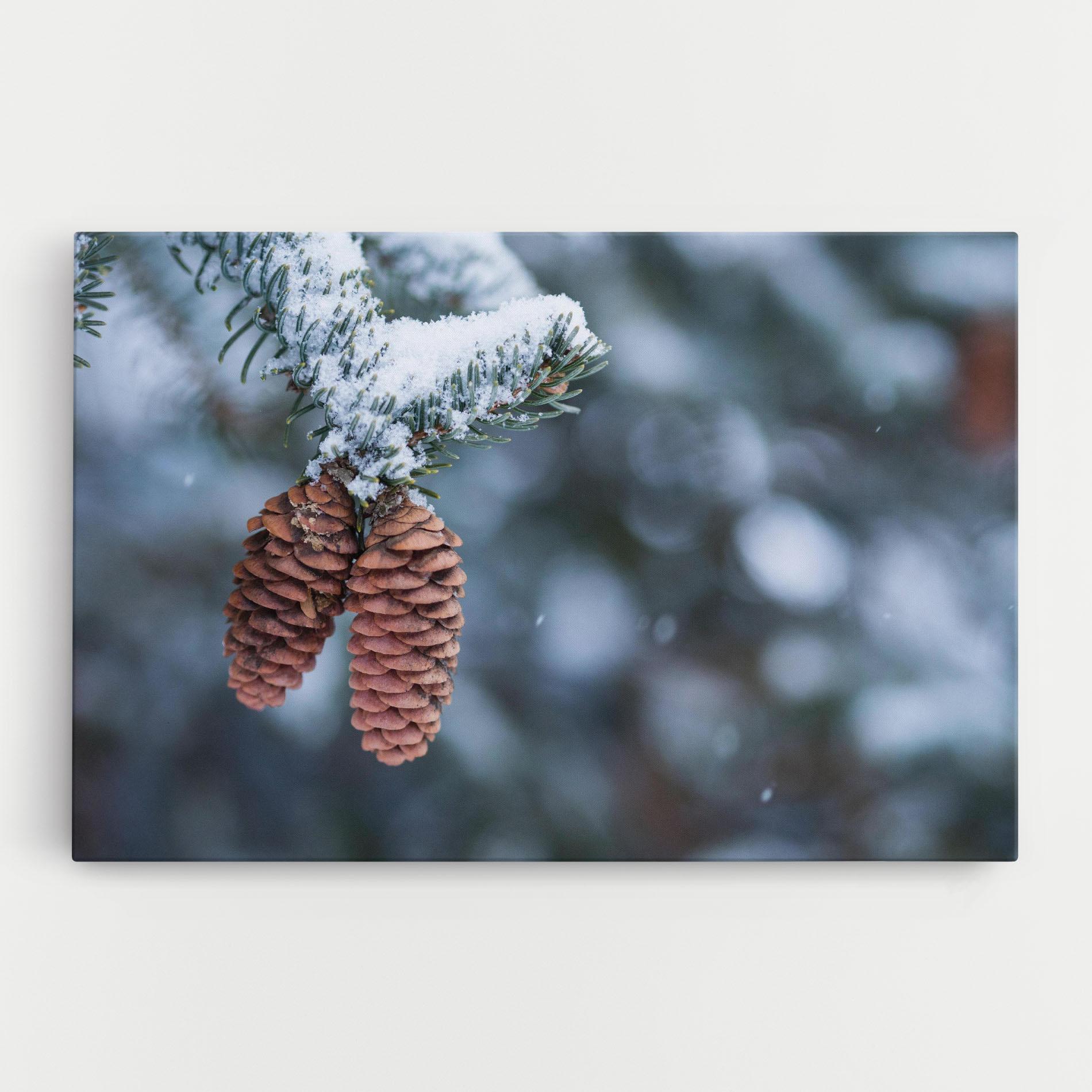 Leinwandbild Winter Cones mockup 0